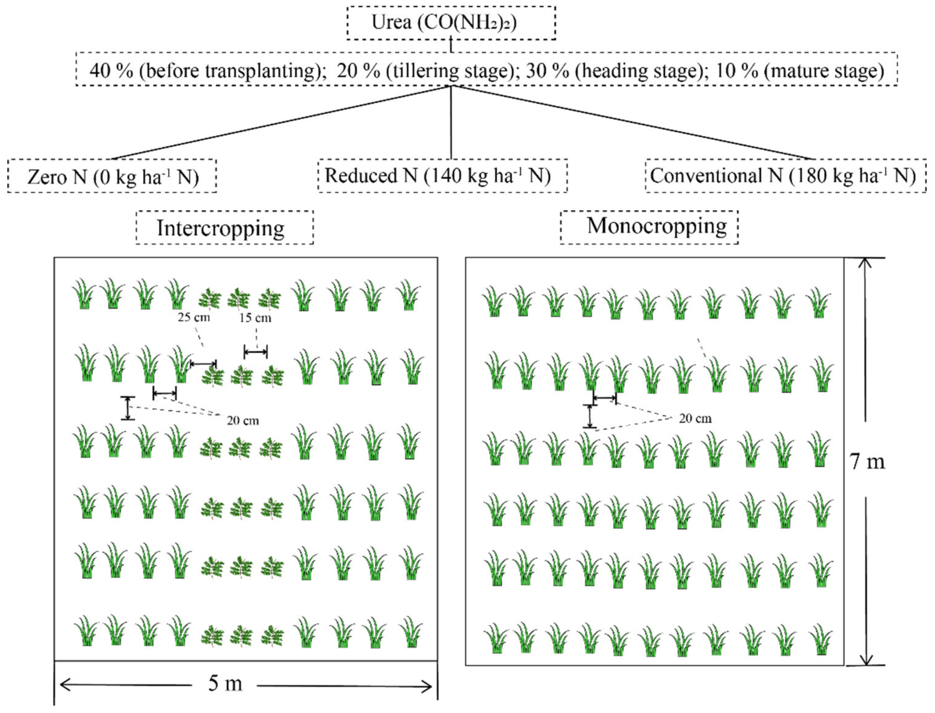 Agriculture 12 00013 g001