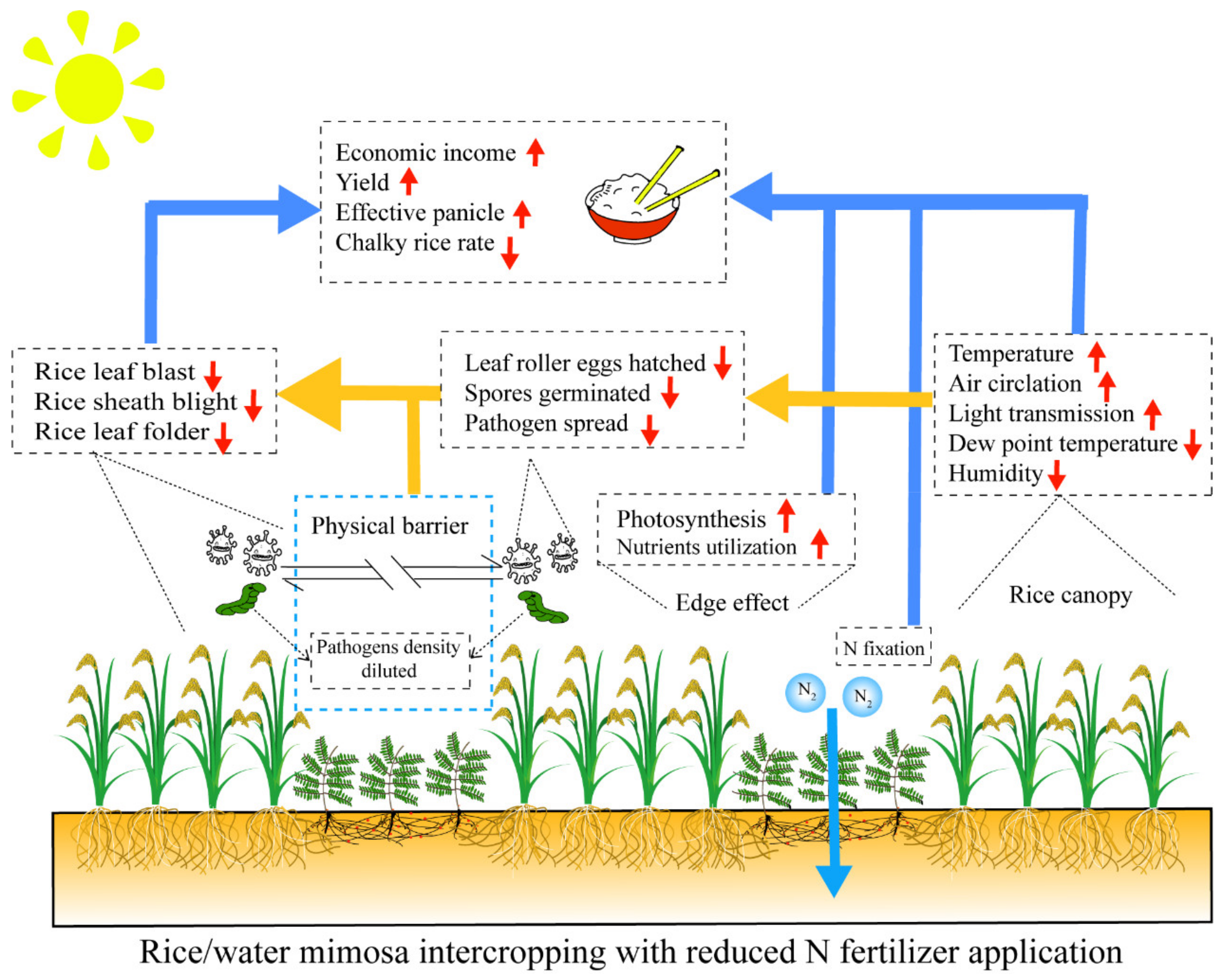 Agriculture 12 00013 g003