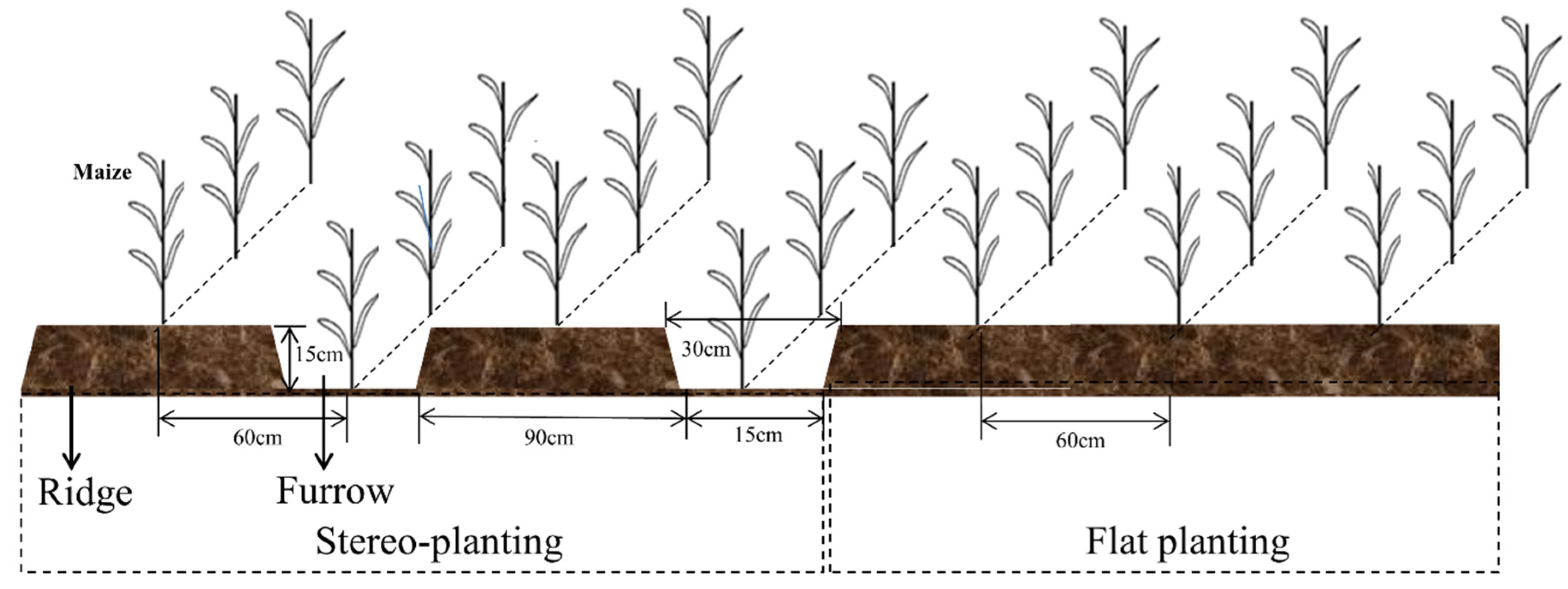 Agriculture 12 00020 g002