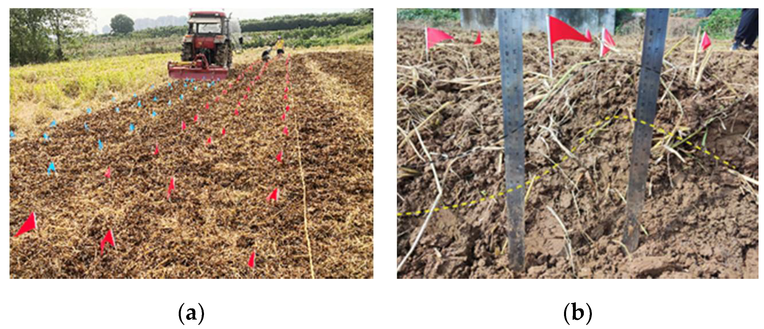 Agriculture 12 00030 g012