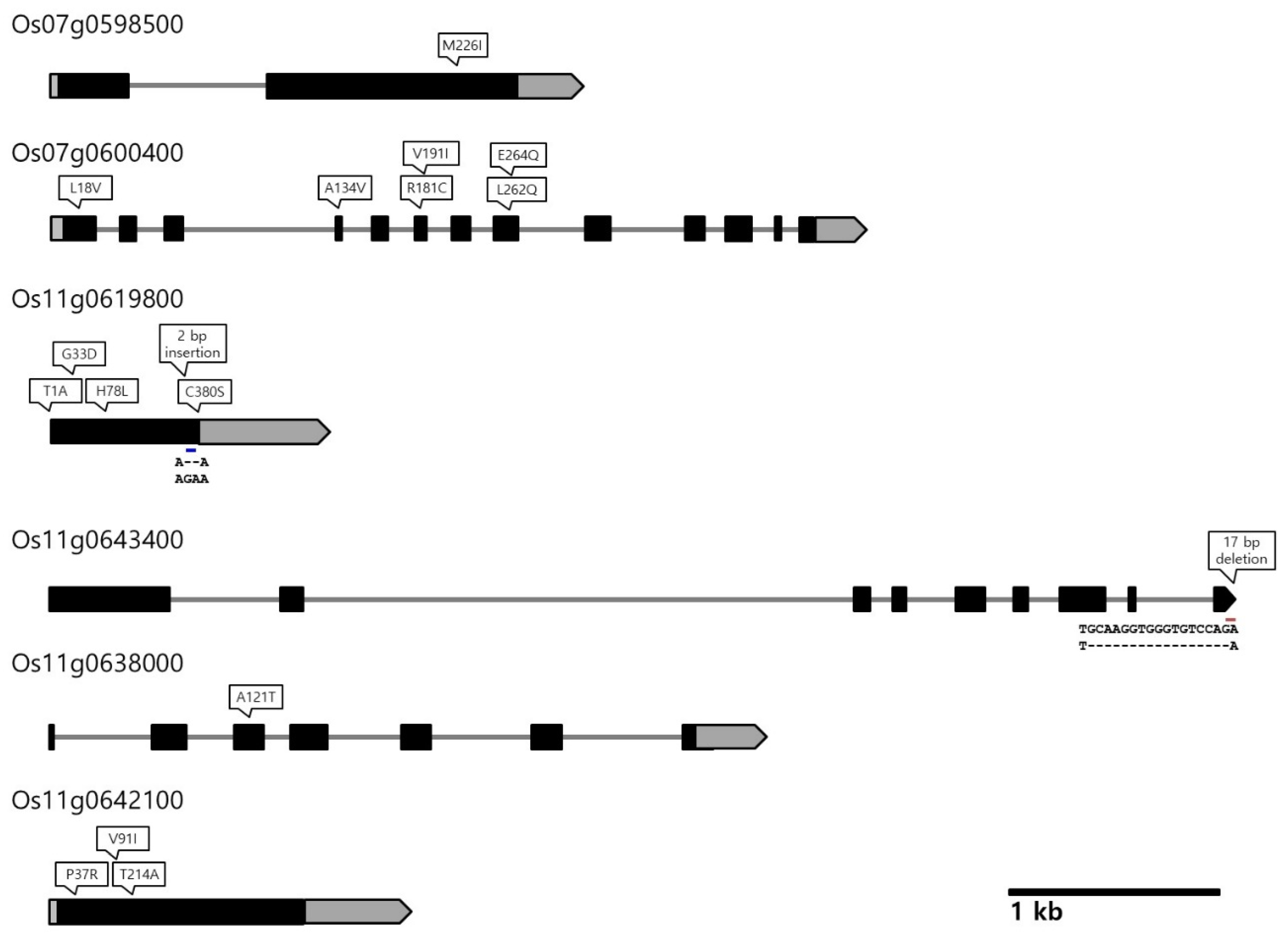 Agriculture 12 00051 g003