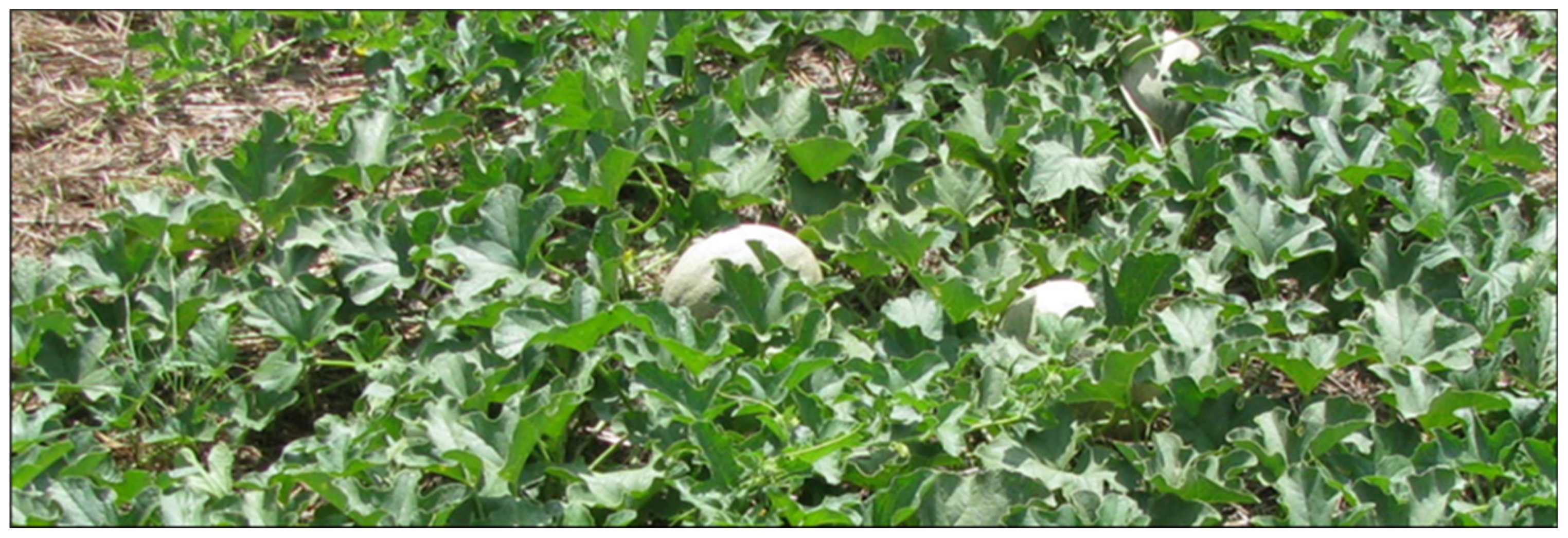 Agriculture 12 00066 g008