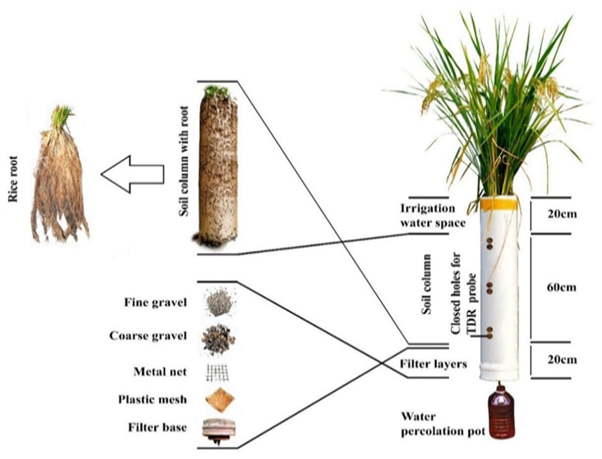 Agriculture 12 00086 g002