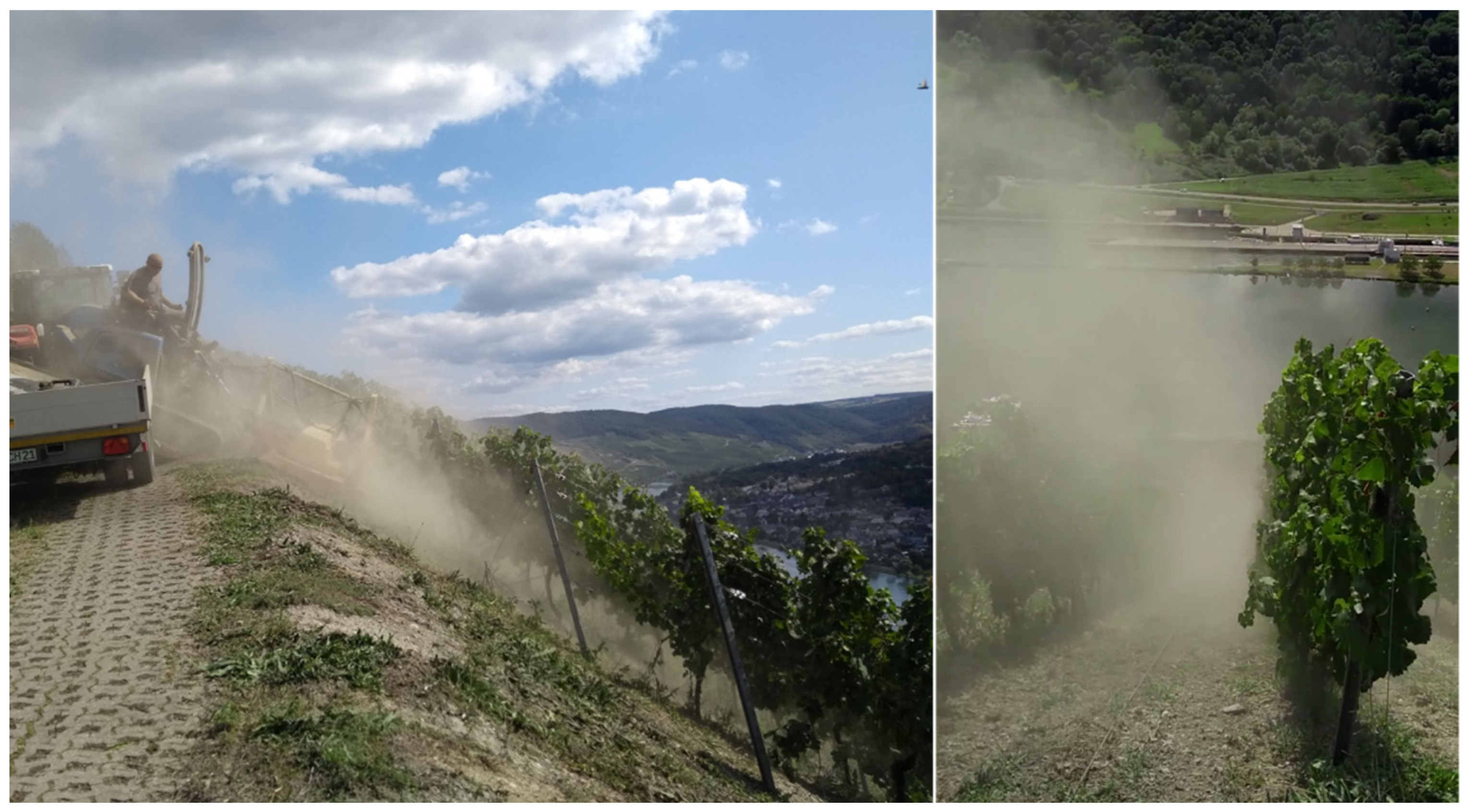 Agriculture 12 00100 g001