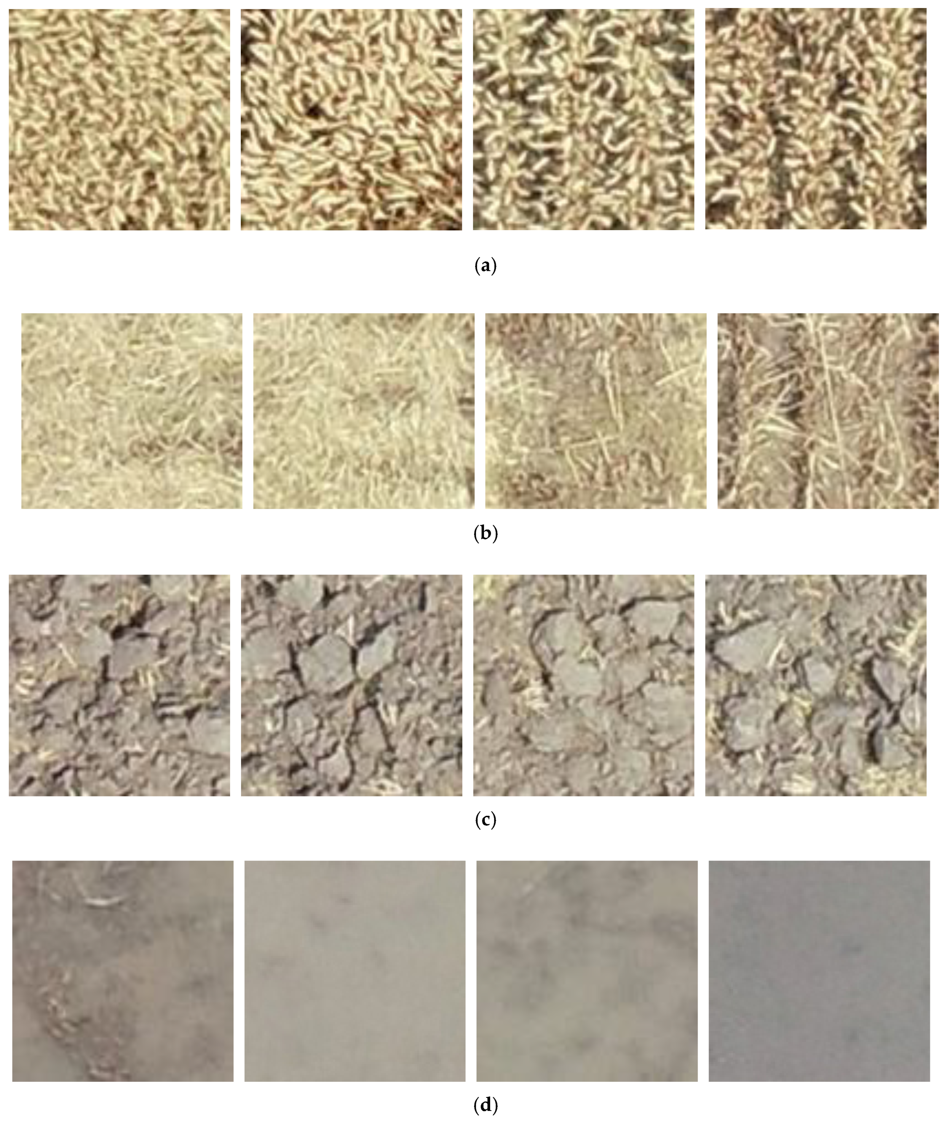 Agriculture 12 00124 g003