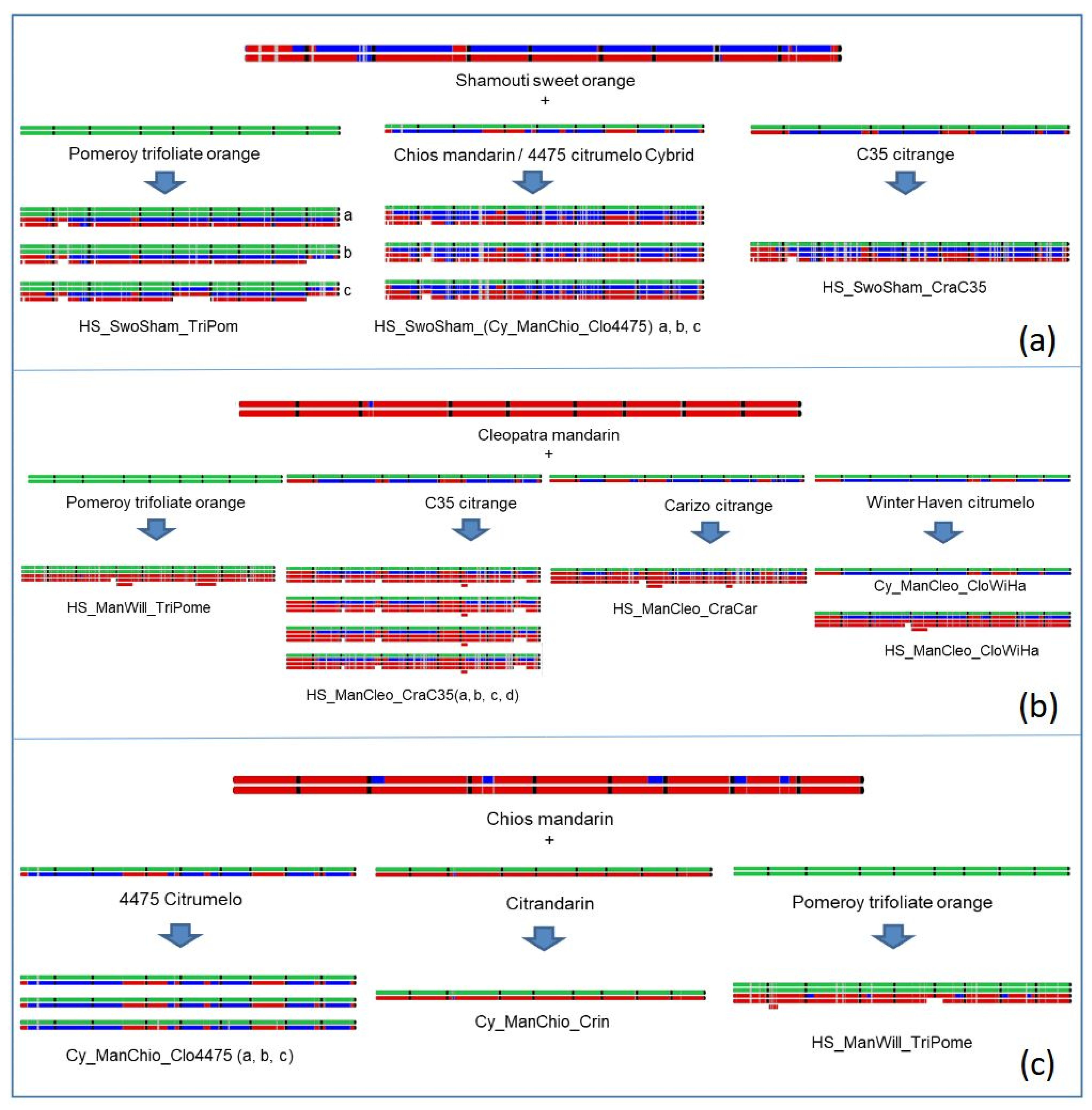 Agriculture 12 00134 g008