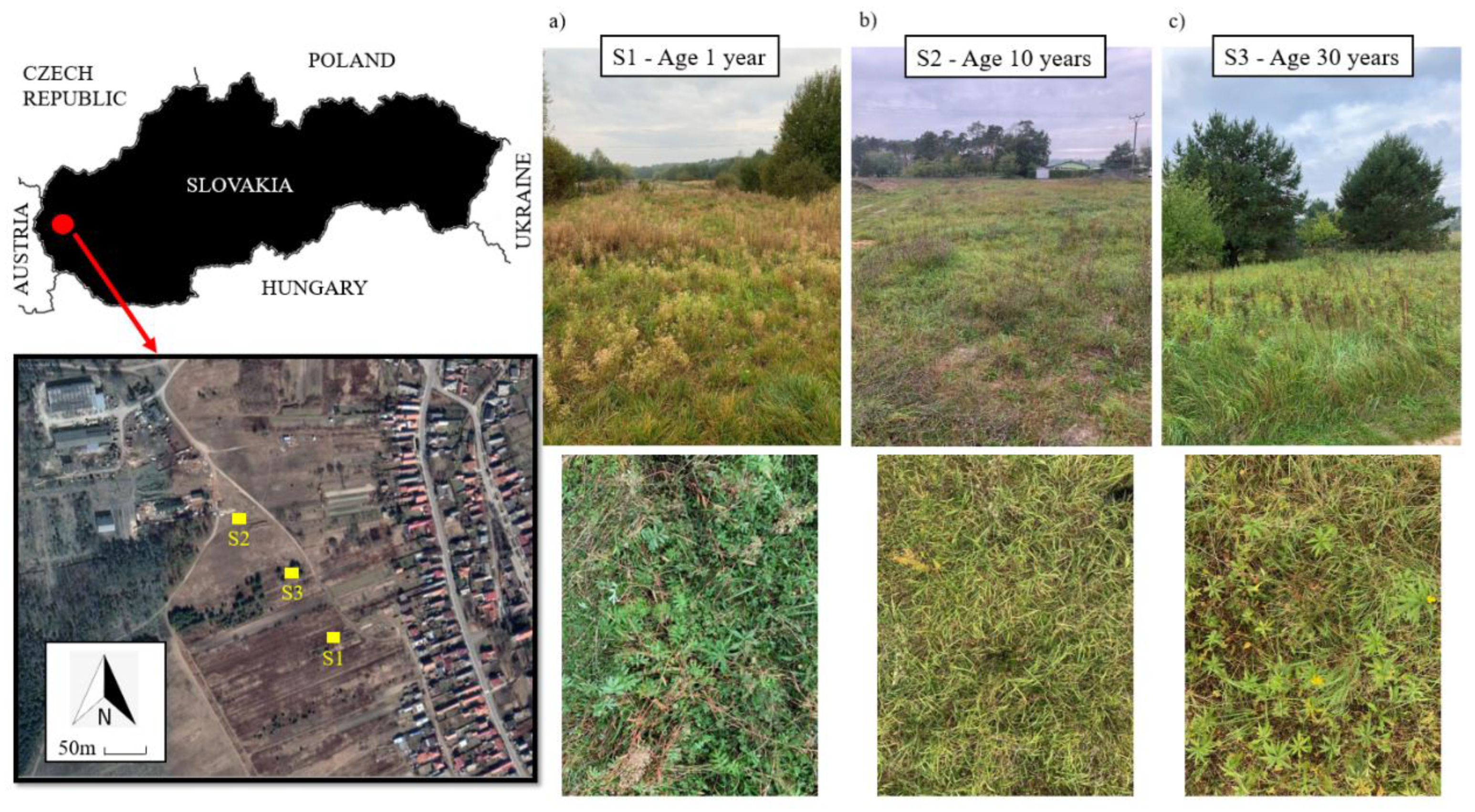 Agriculture 12 00168 g001