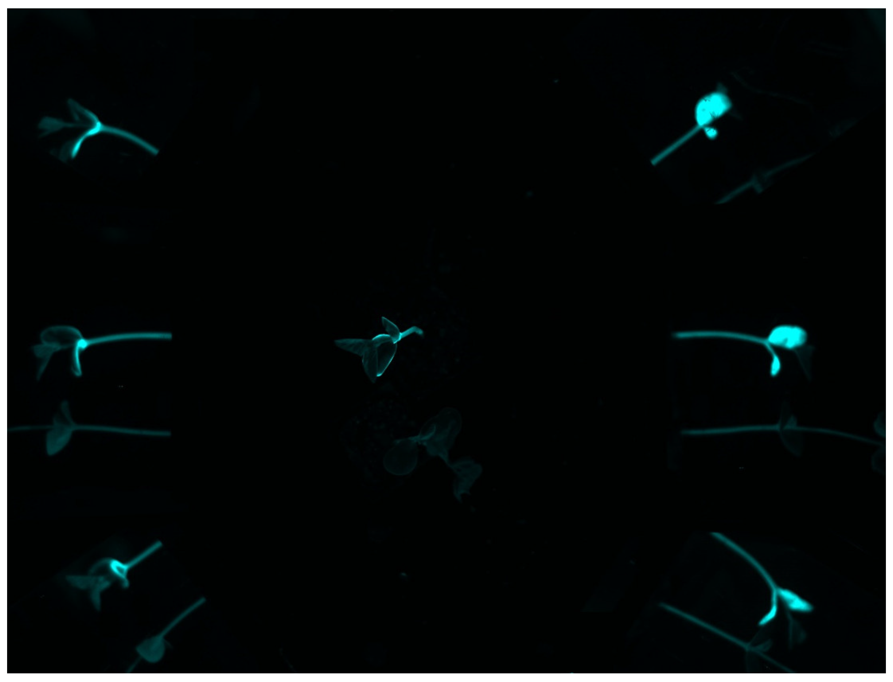 Agriculture 12 00195 g002 Agriculture 12 00195 g002