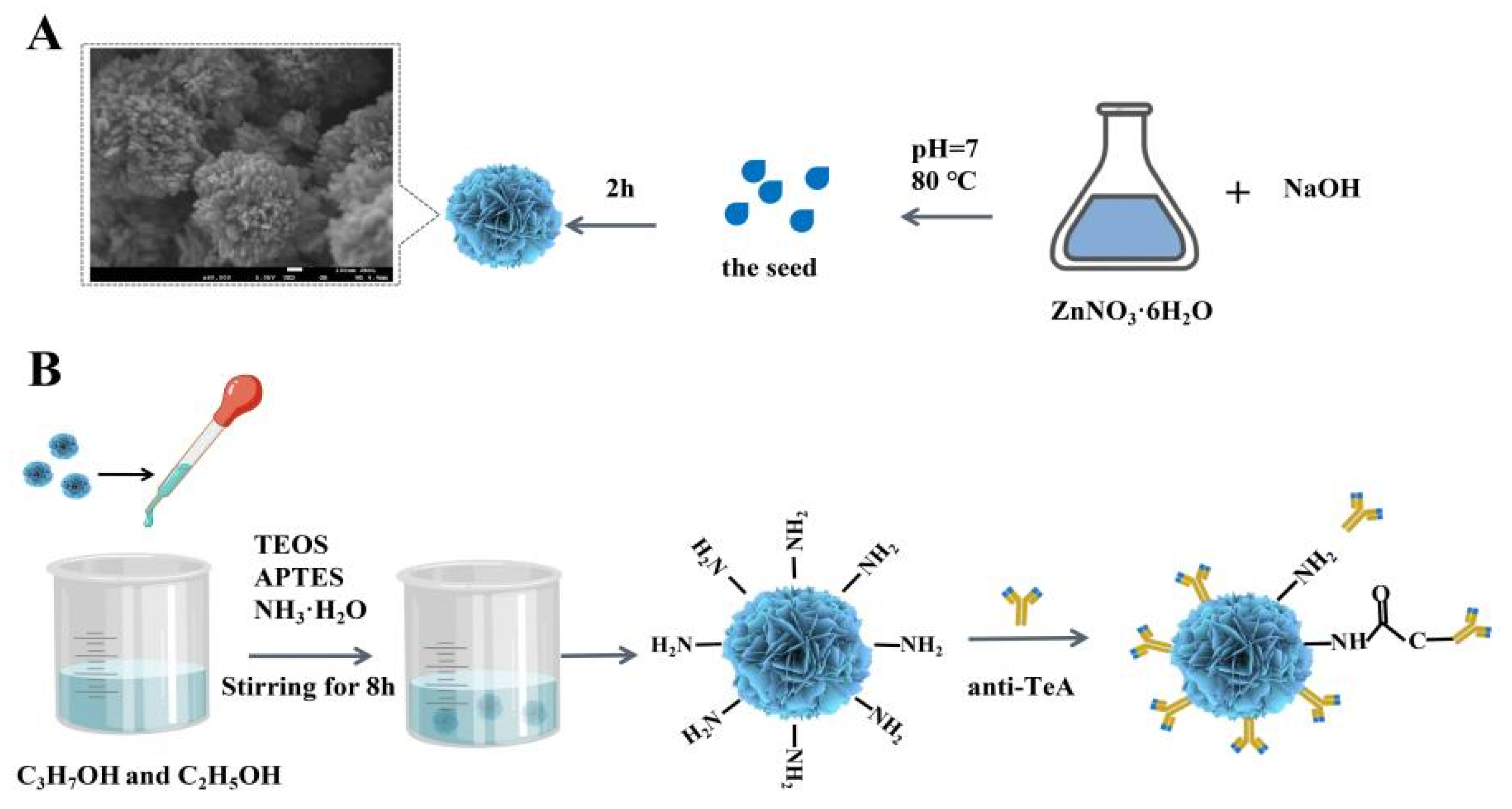 Agriculture 12 00204 sch001a
