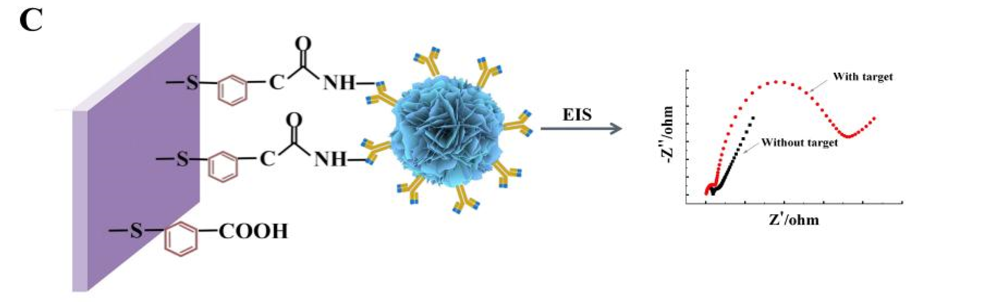 Agriculture 12 00204 sch001b