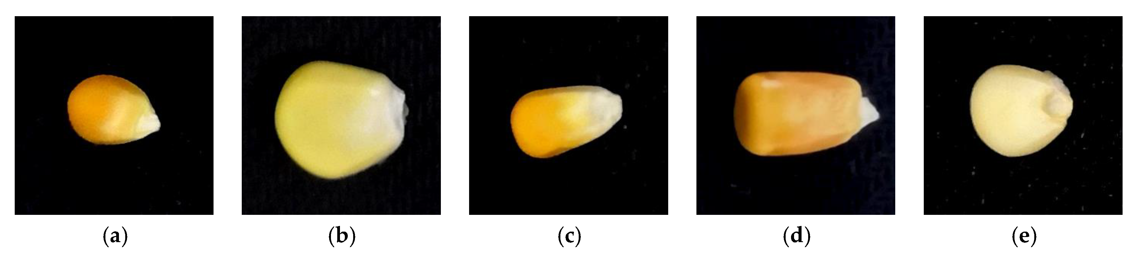 Agriculture 12 00232 g001