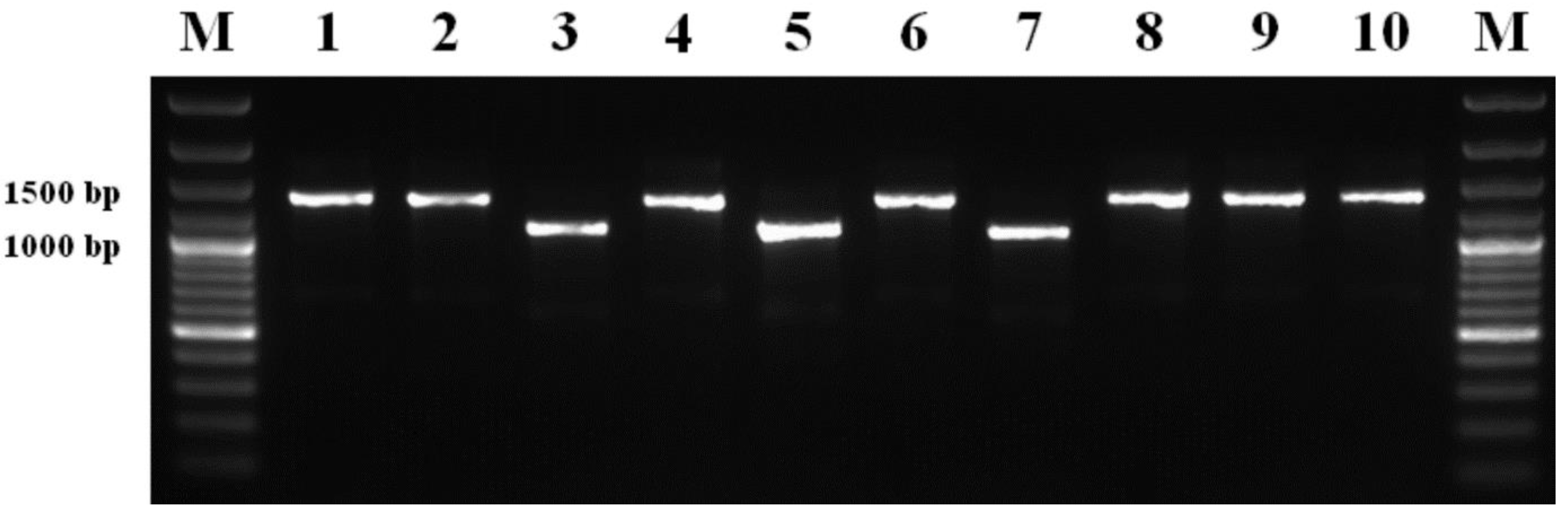 Agriculture 12 00237 g005