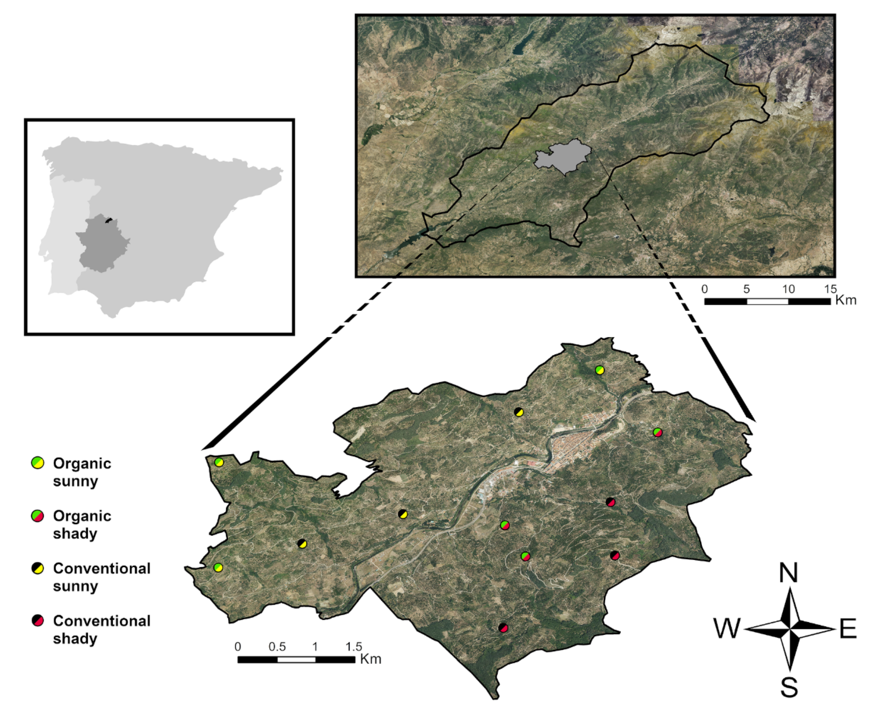 Agriculture 12 00243 g001