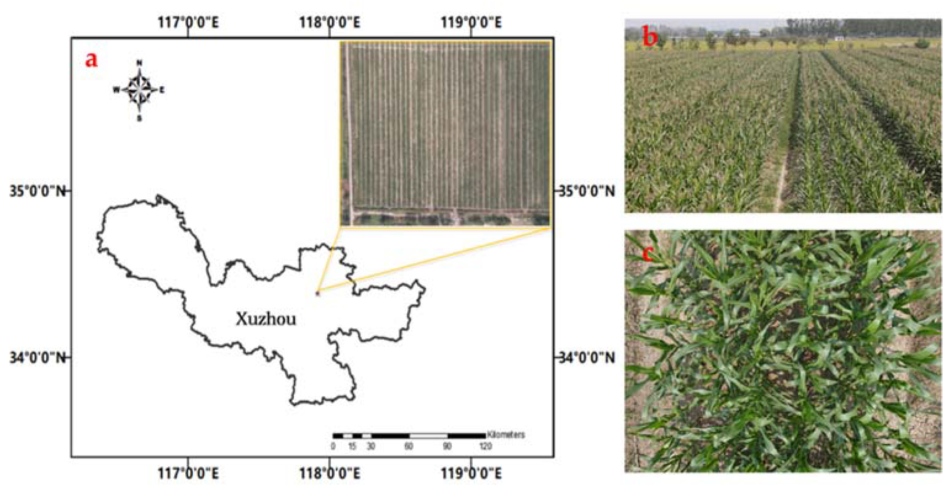 Agriculture 12 00248 g001