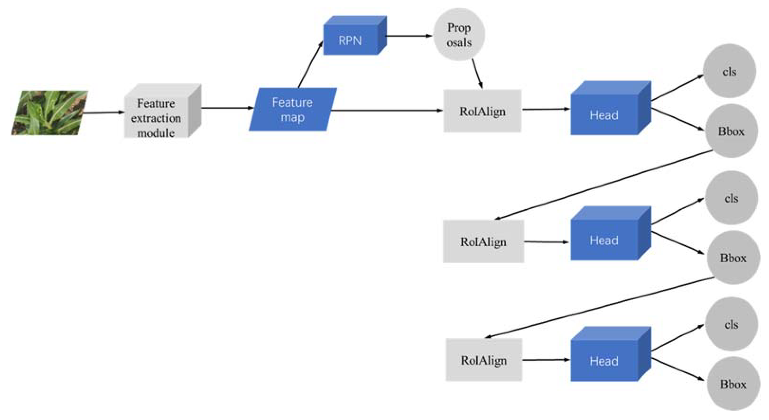 Agriculture 12 00248 g005