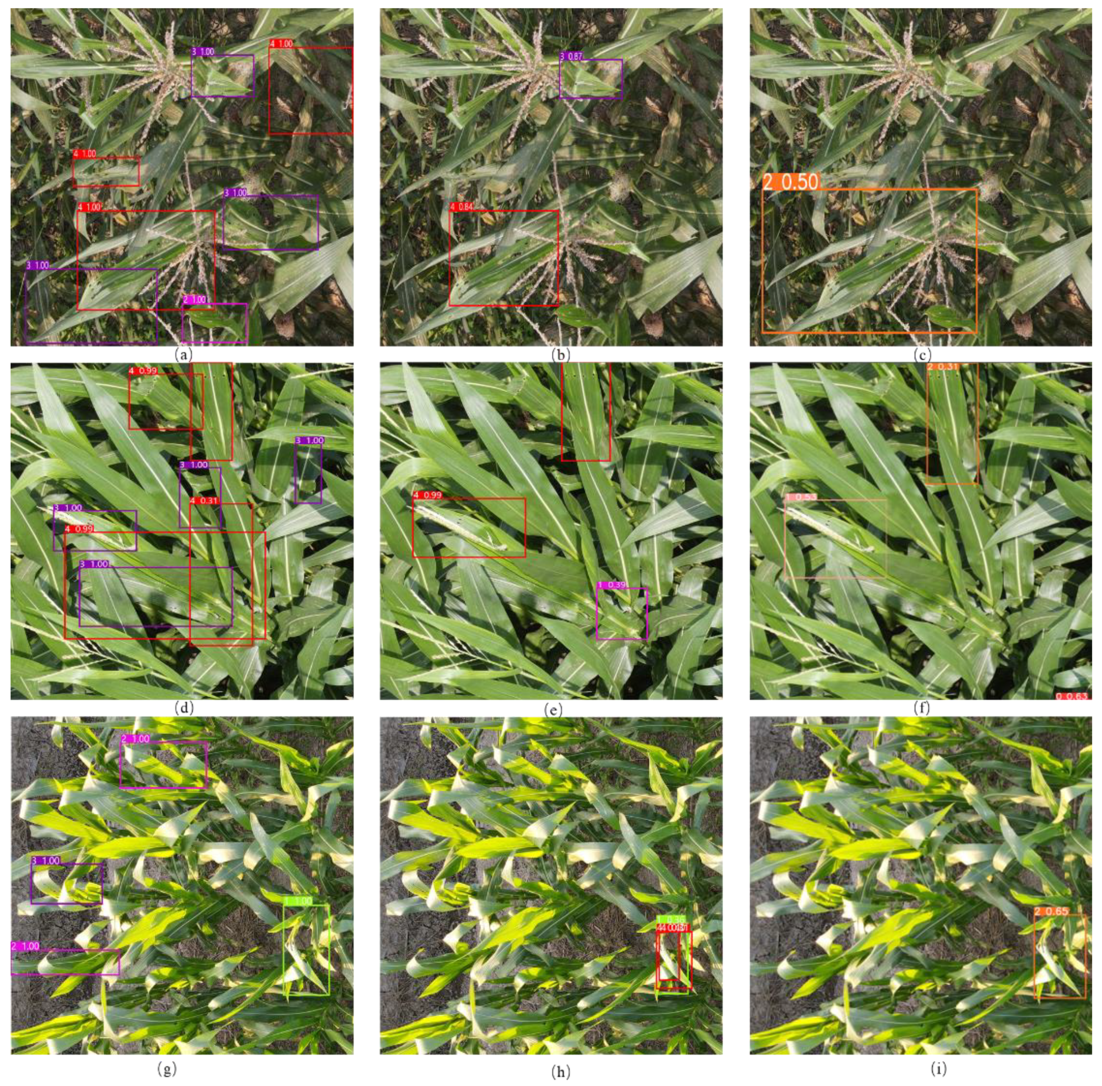 Agriculture 12 00248 g014