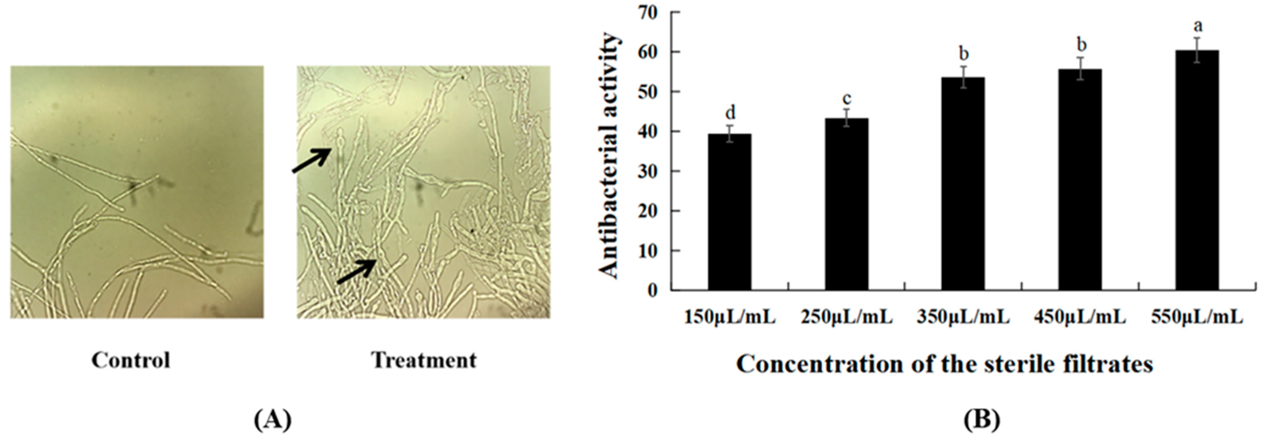 Agriculture 12 00258 g001