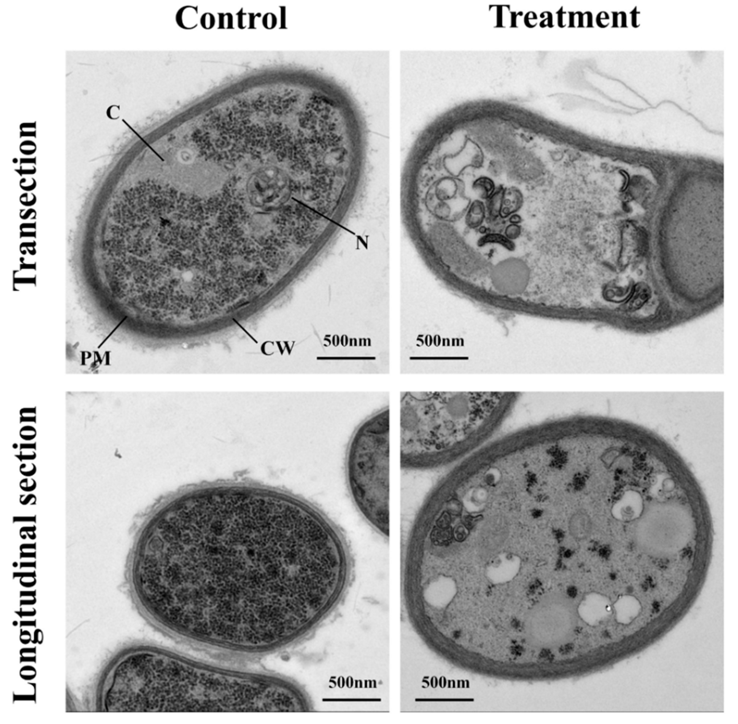 Agriculture 12 00258 g002