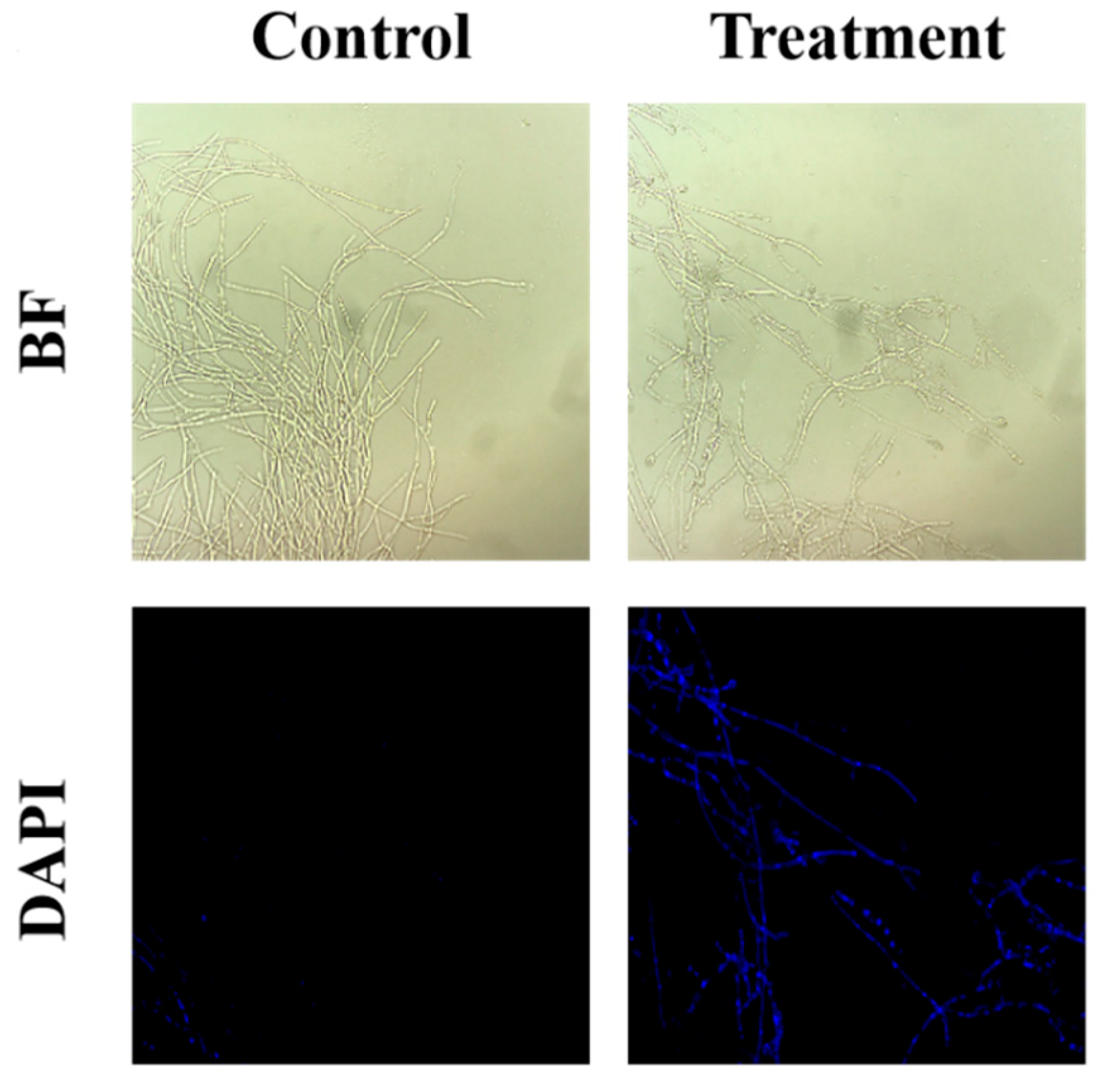 Agriculture 12 00258 g003