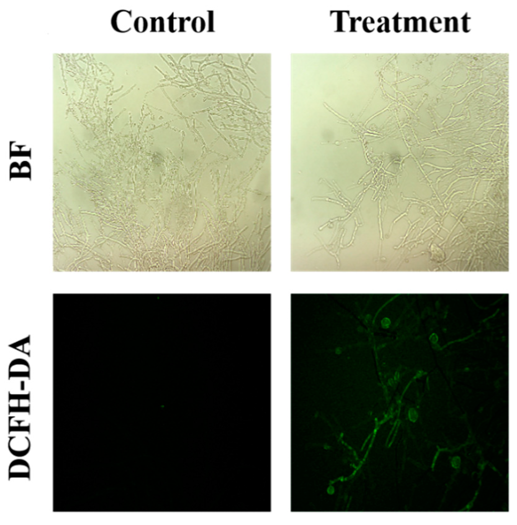 Agriculture 12 00258 g004