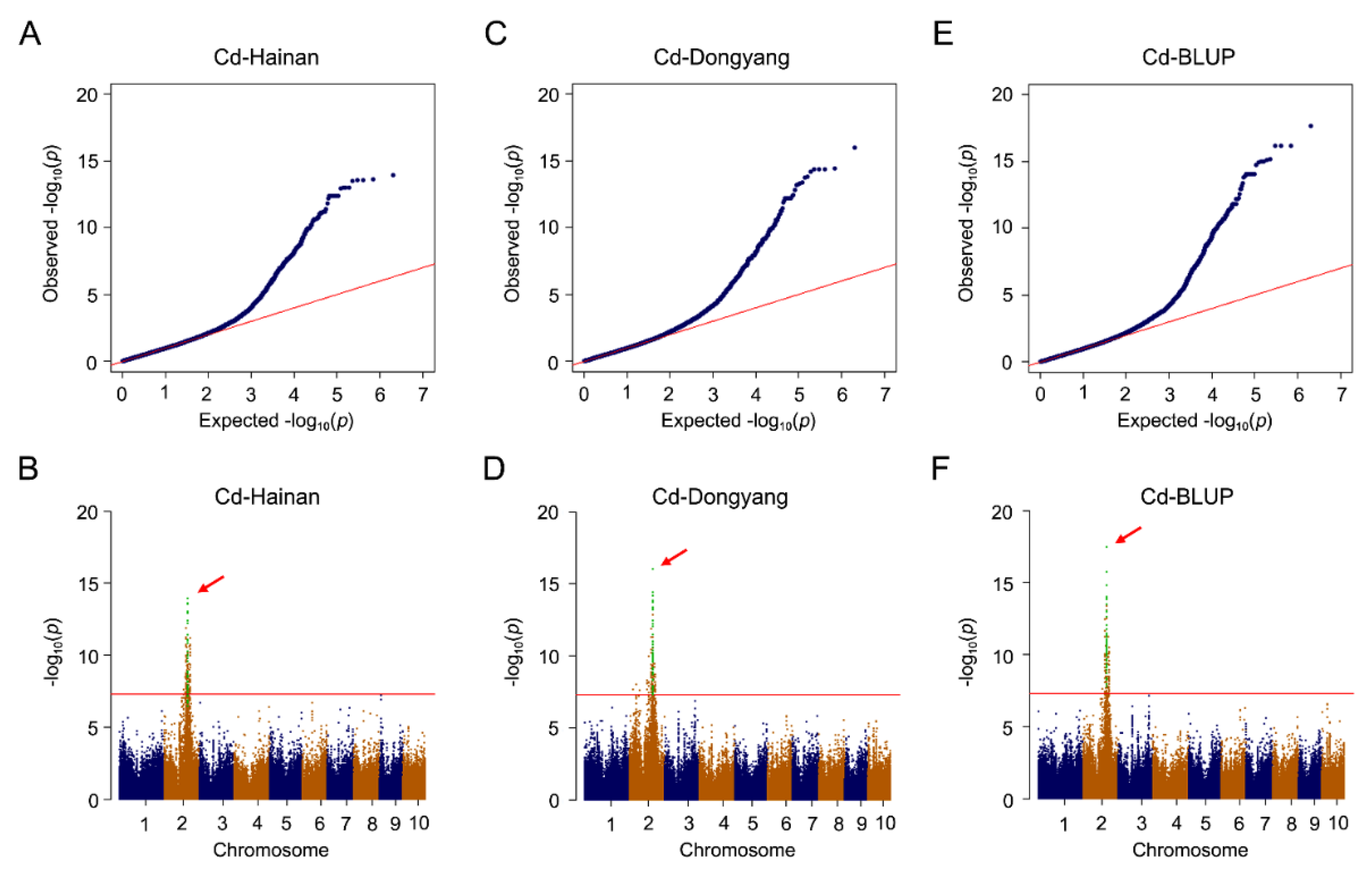 Agriculture 12 00262 g004