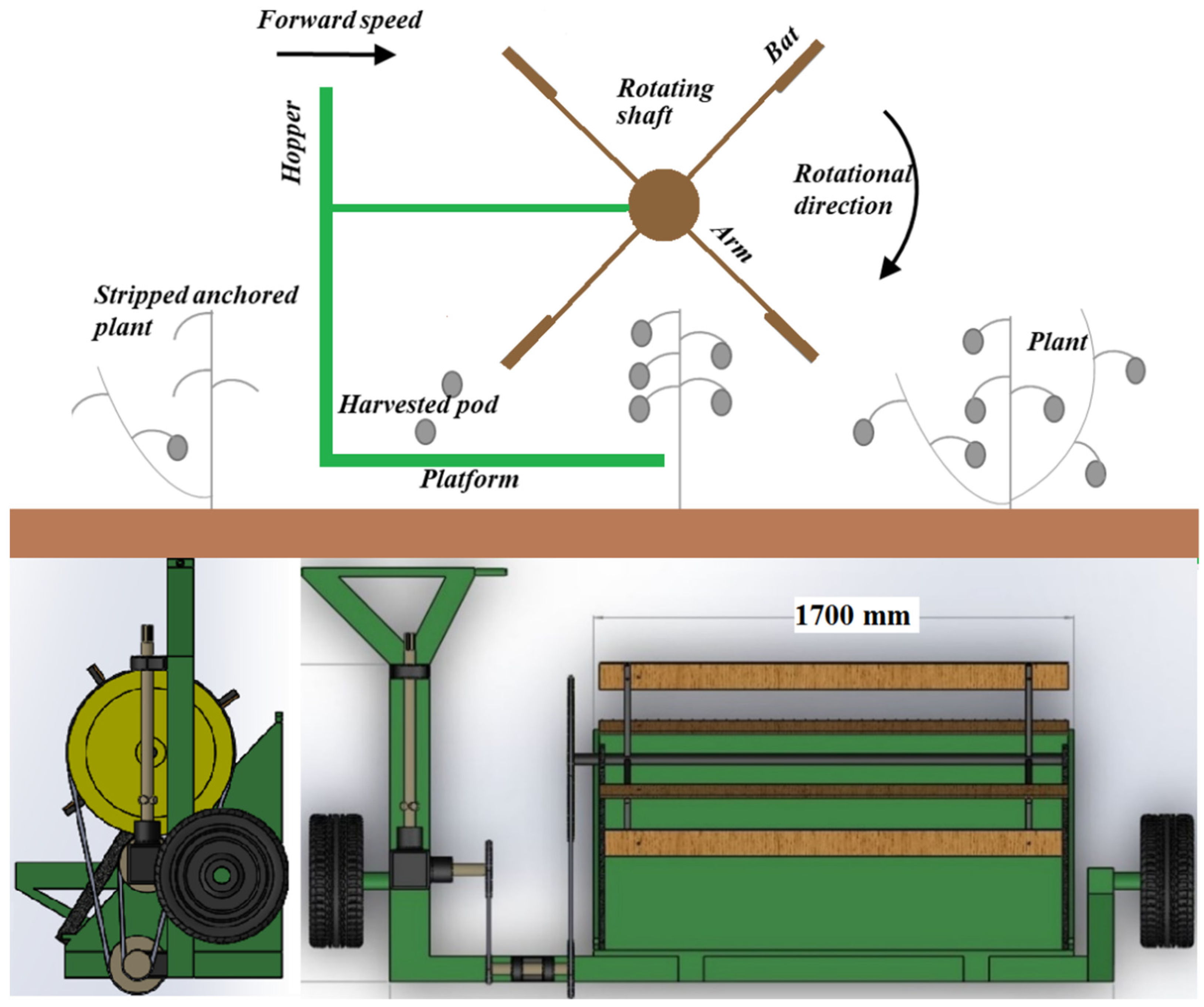 Agriculture 12 00264 g001