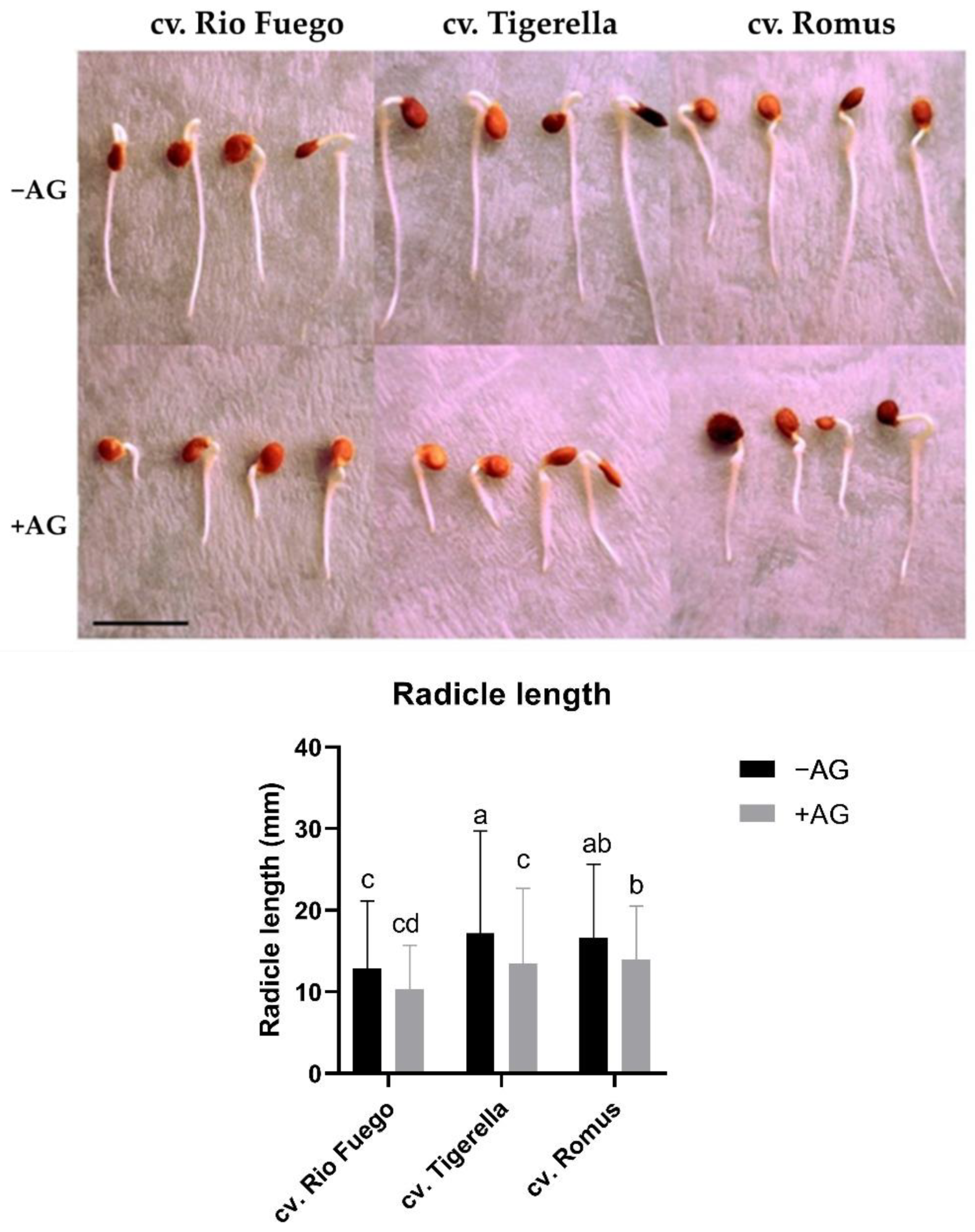 Agriculture 12 00274 g001