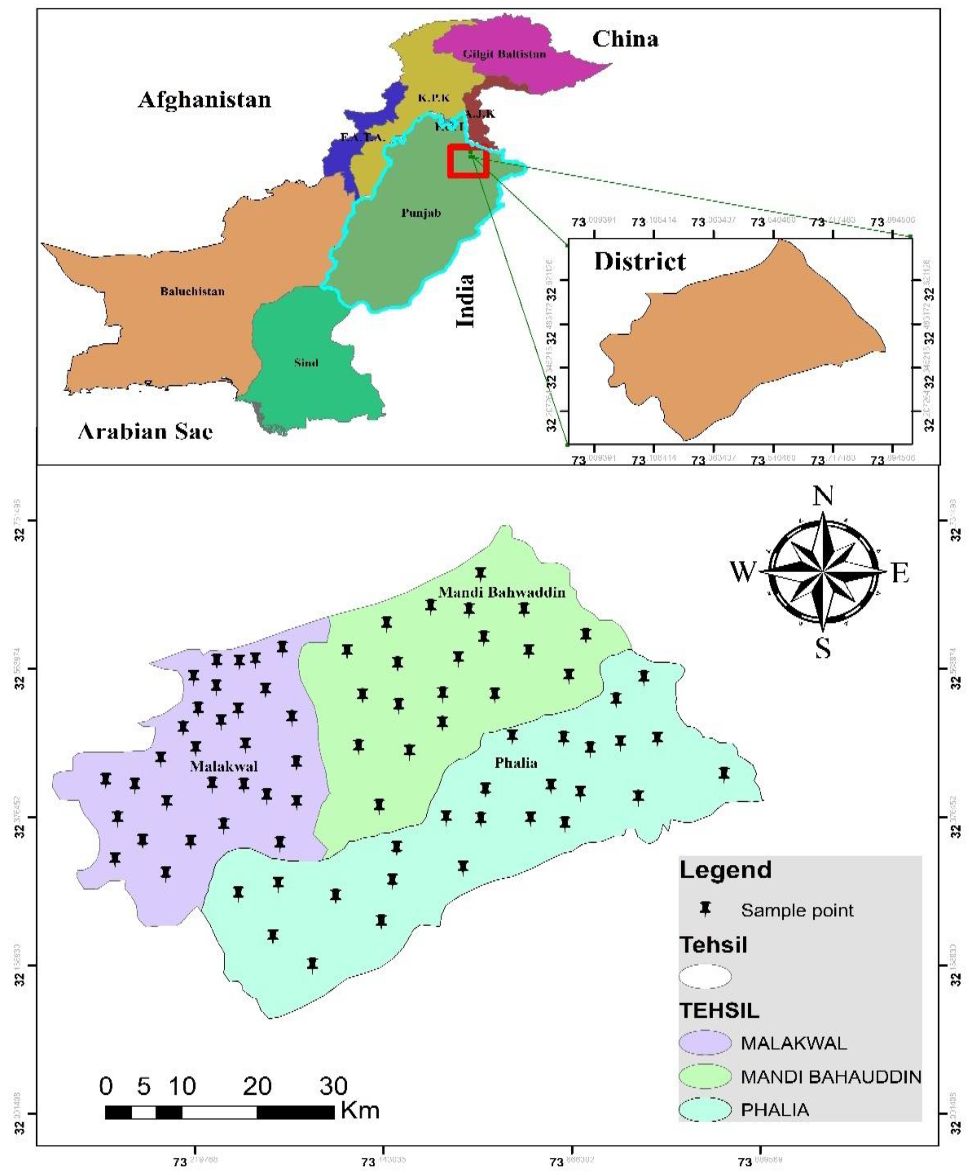 Agriculture 12 00295 g001
