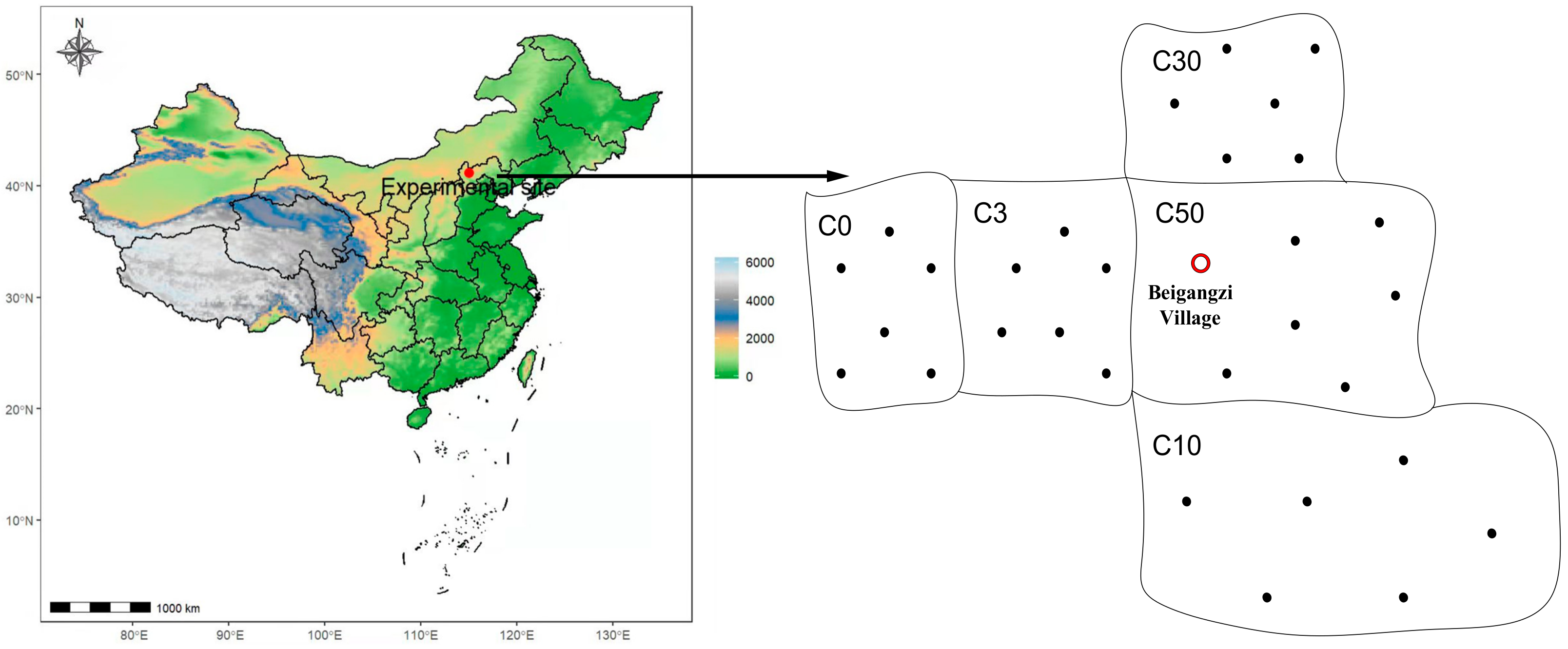 Agriculture 12 00307 g001