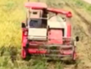 Agriculture 12 00310 i007