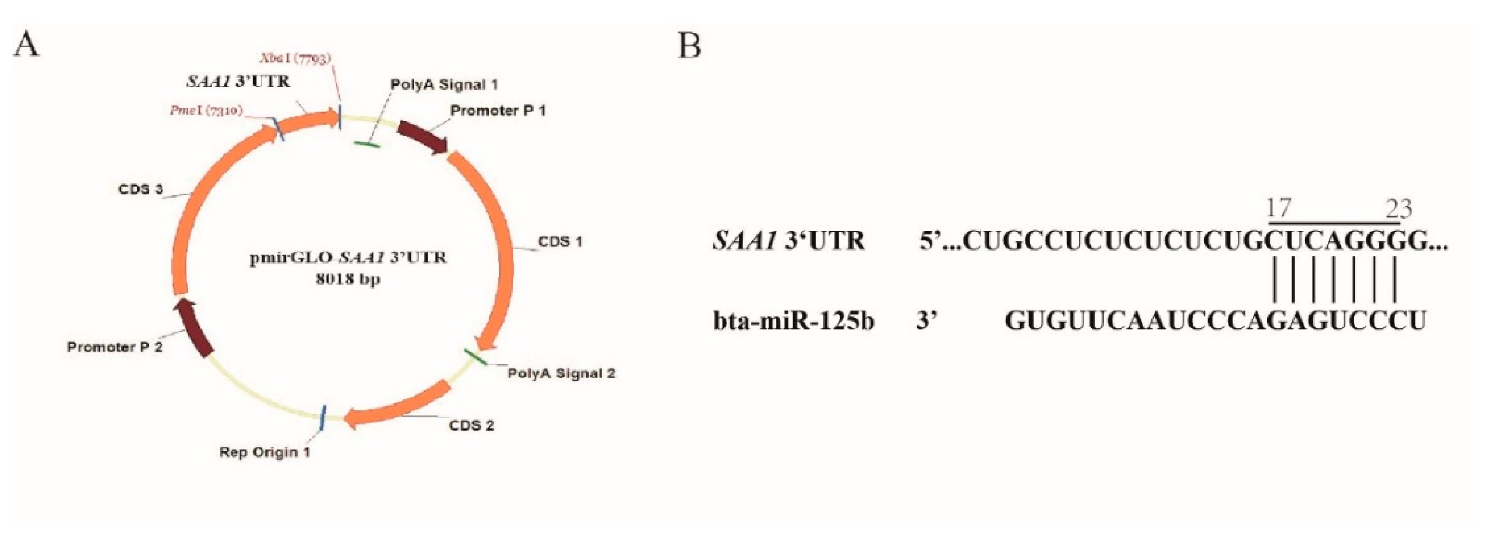 Agriculture 12 00344 g001 Agriculture 12 00344 g001