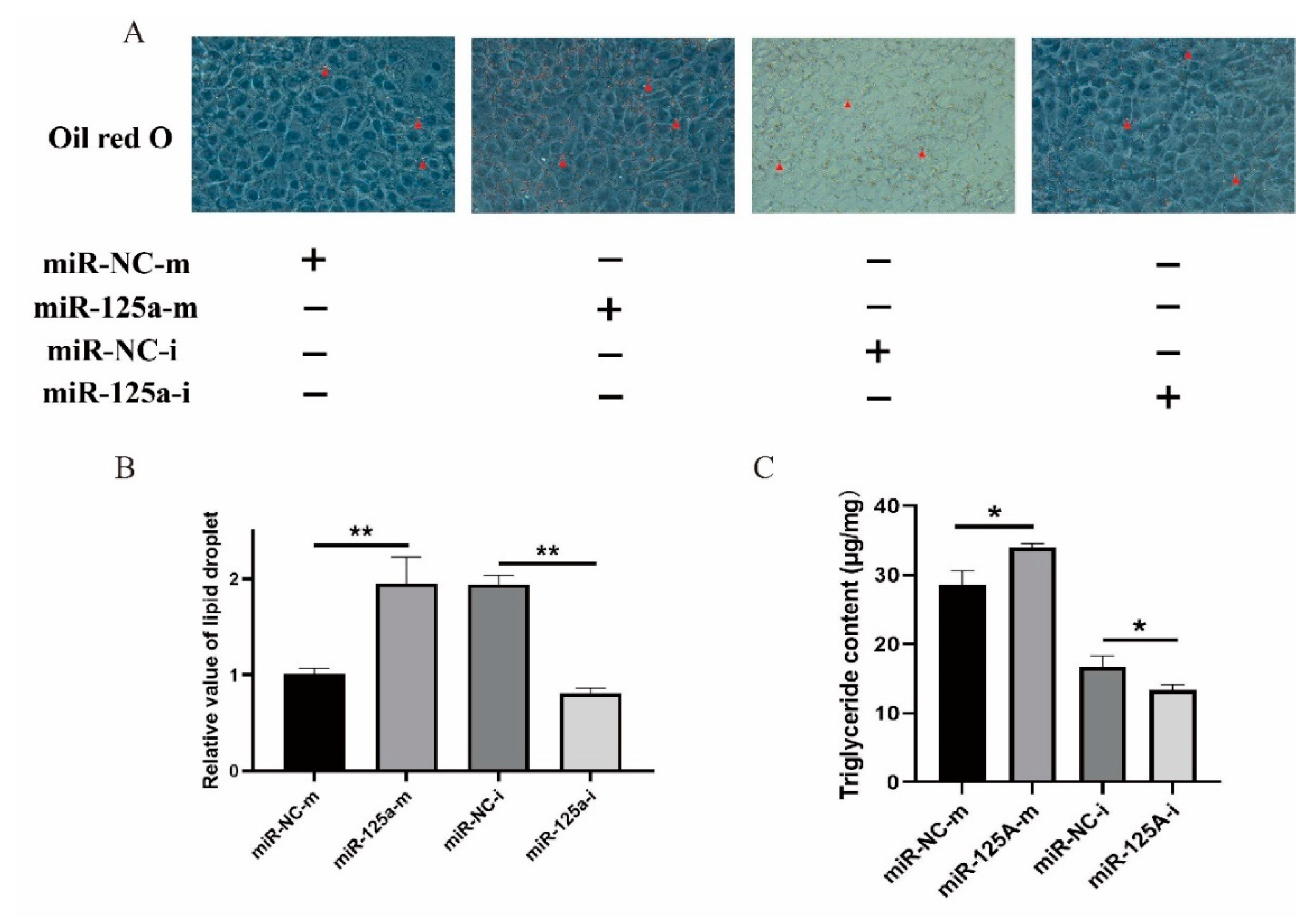 Agriculture 12 00344 g006 Agriculture 12 00344 g006