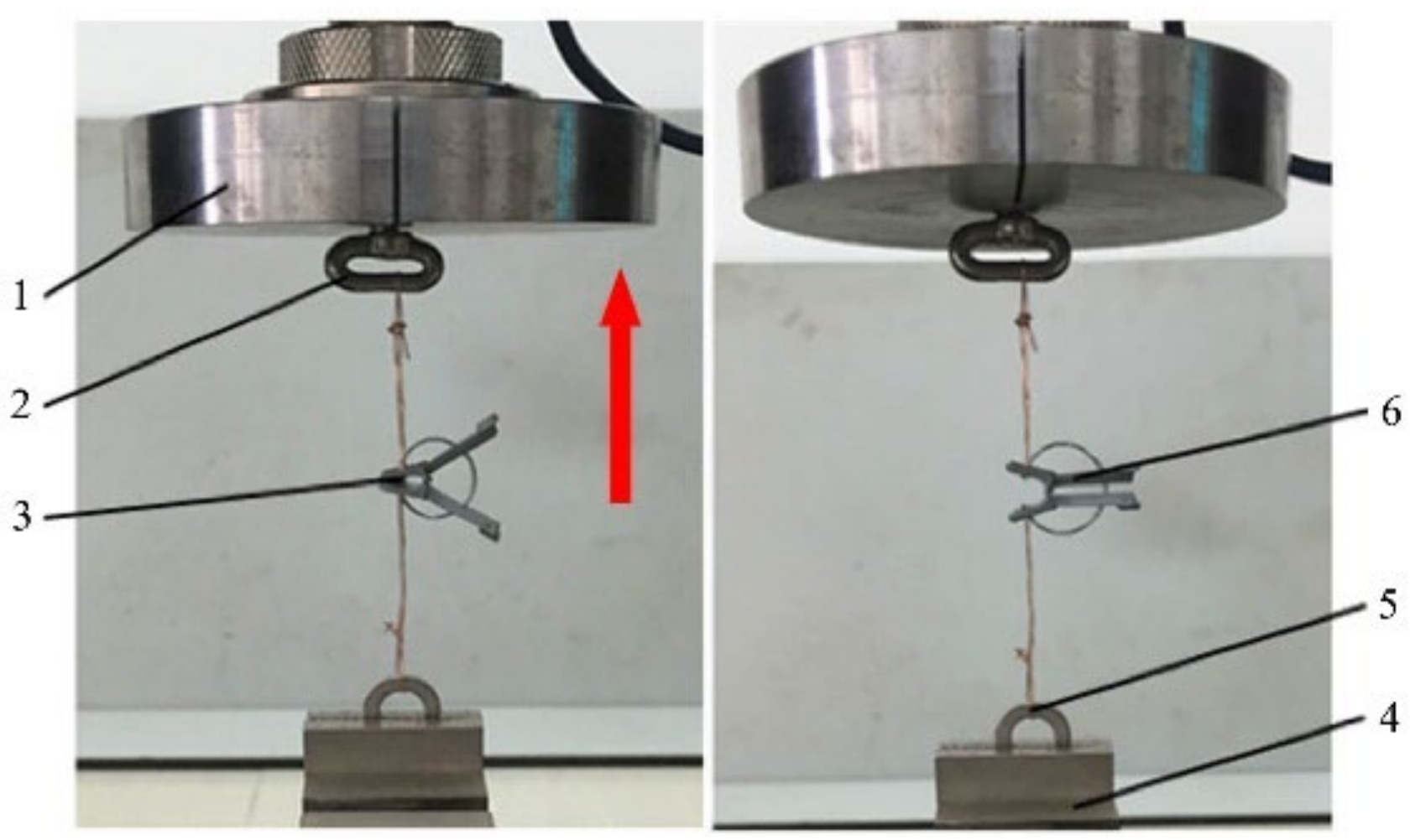 Agriculture 12 00346 g012