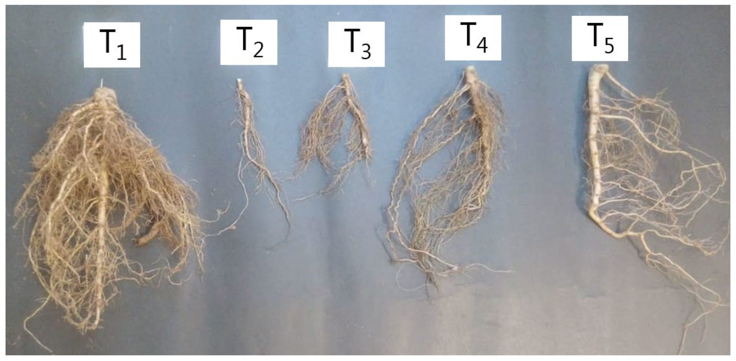 Agriculture 12 00354 g001