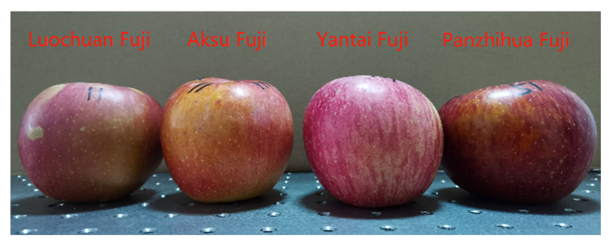 Agriculture 12 00366 g001