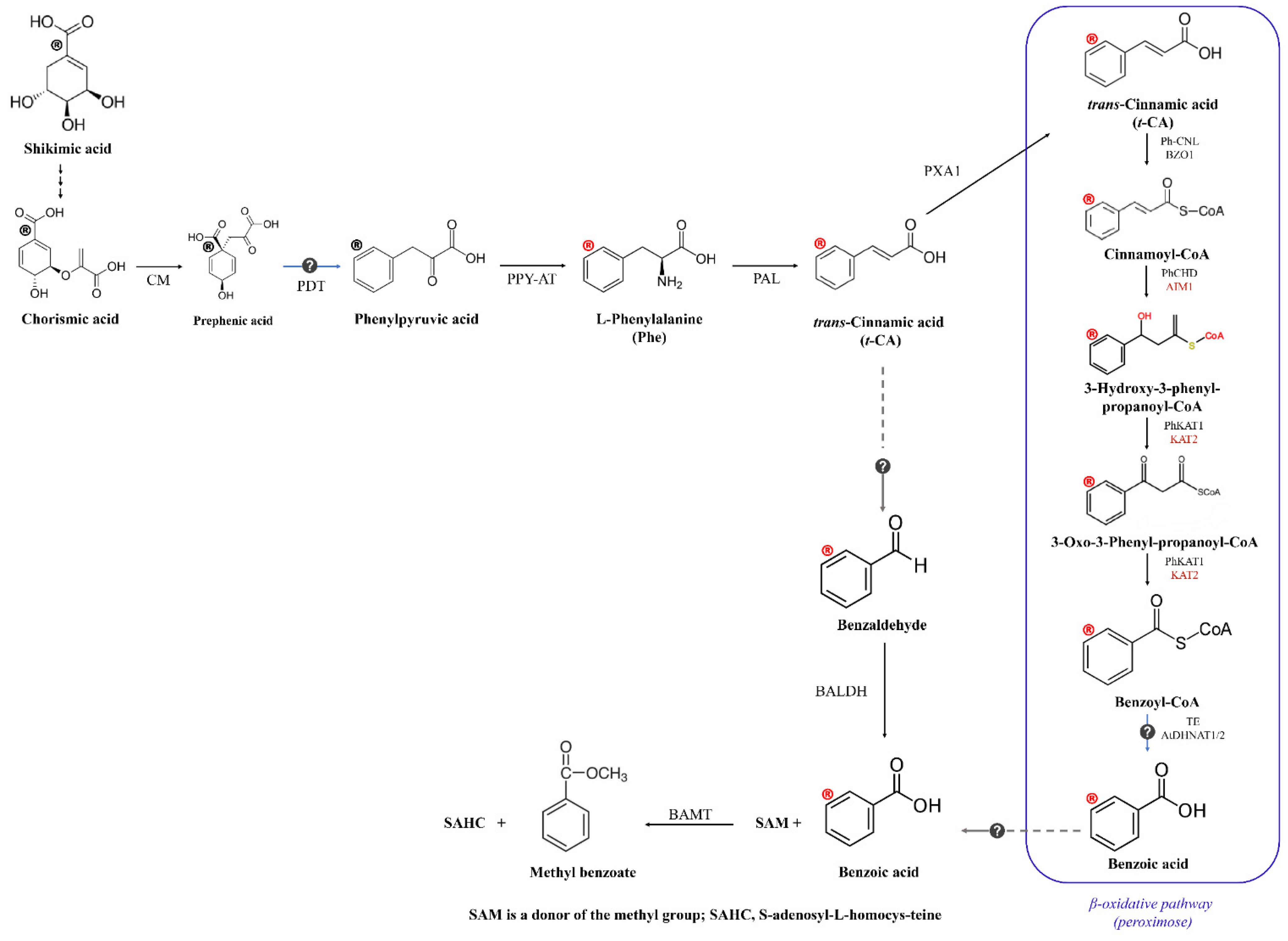 Agriculture 12 00378 g001