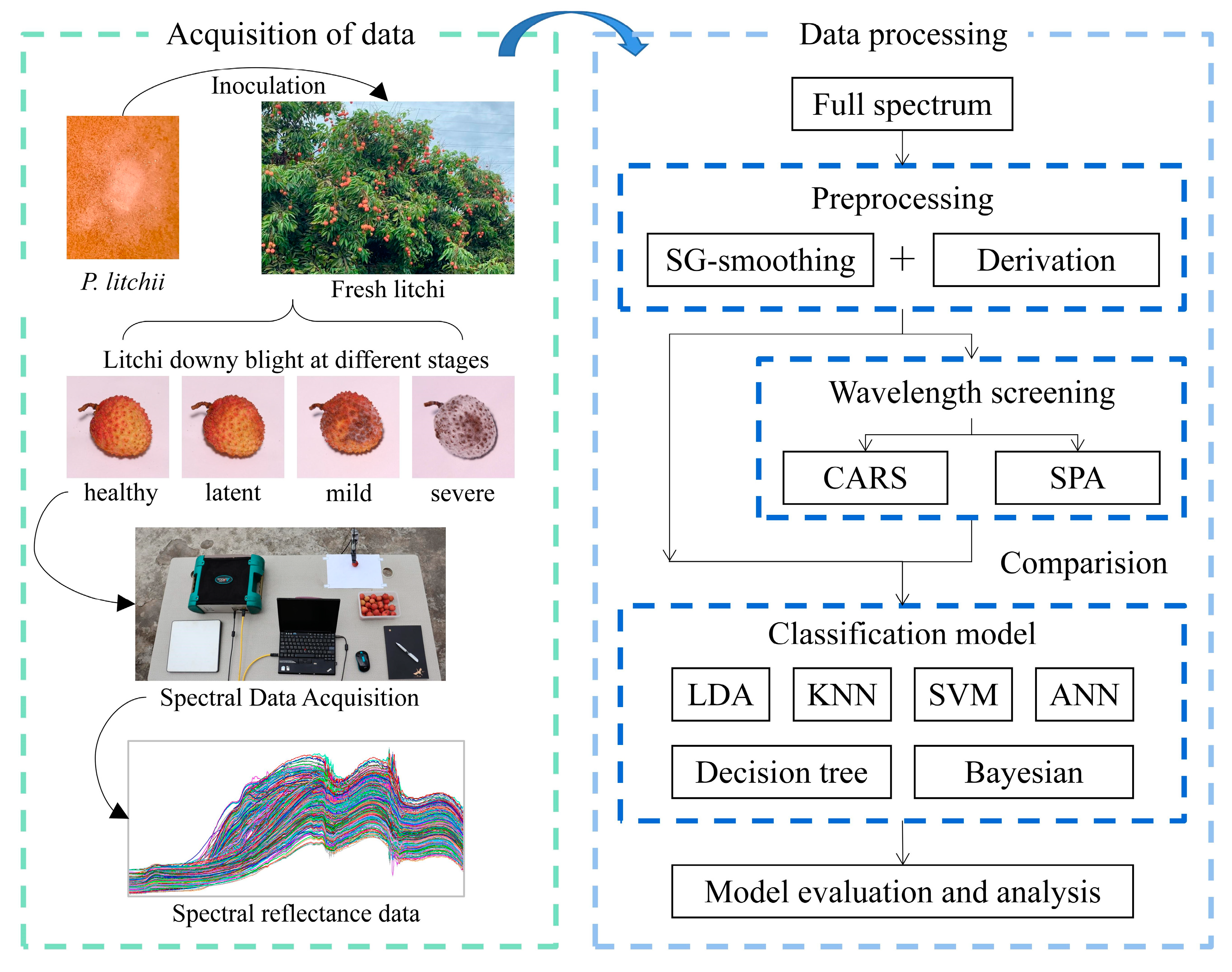 Agriculture 12 00402 g001