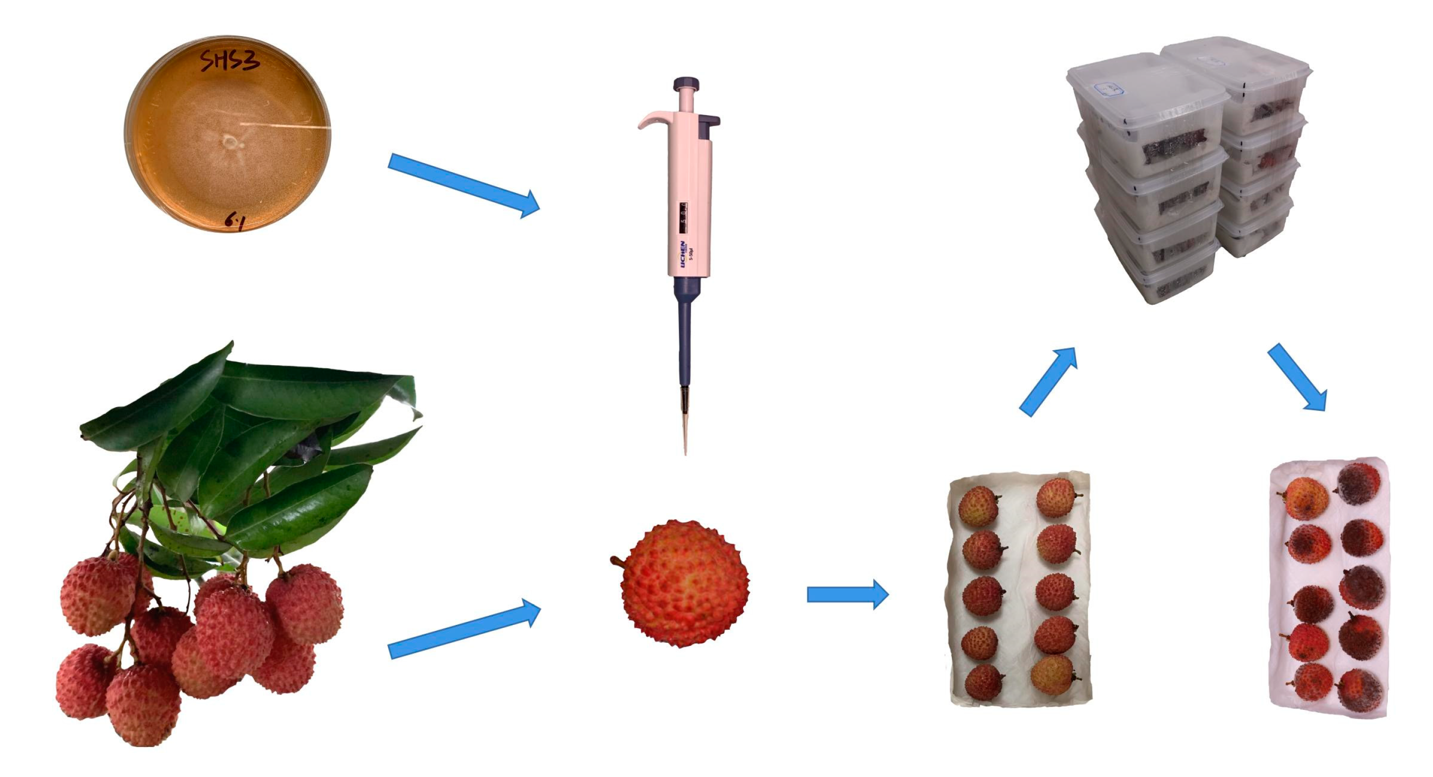 Agriculture 12 00402 g002