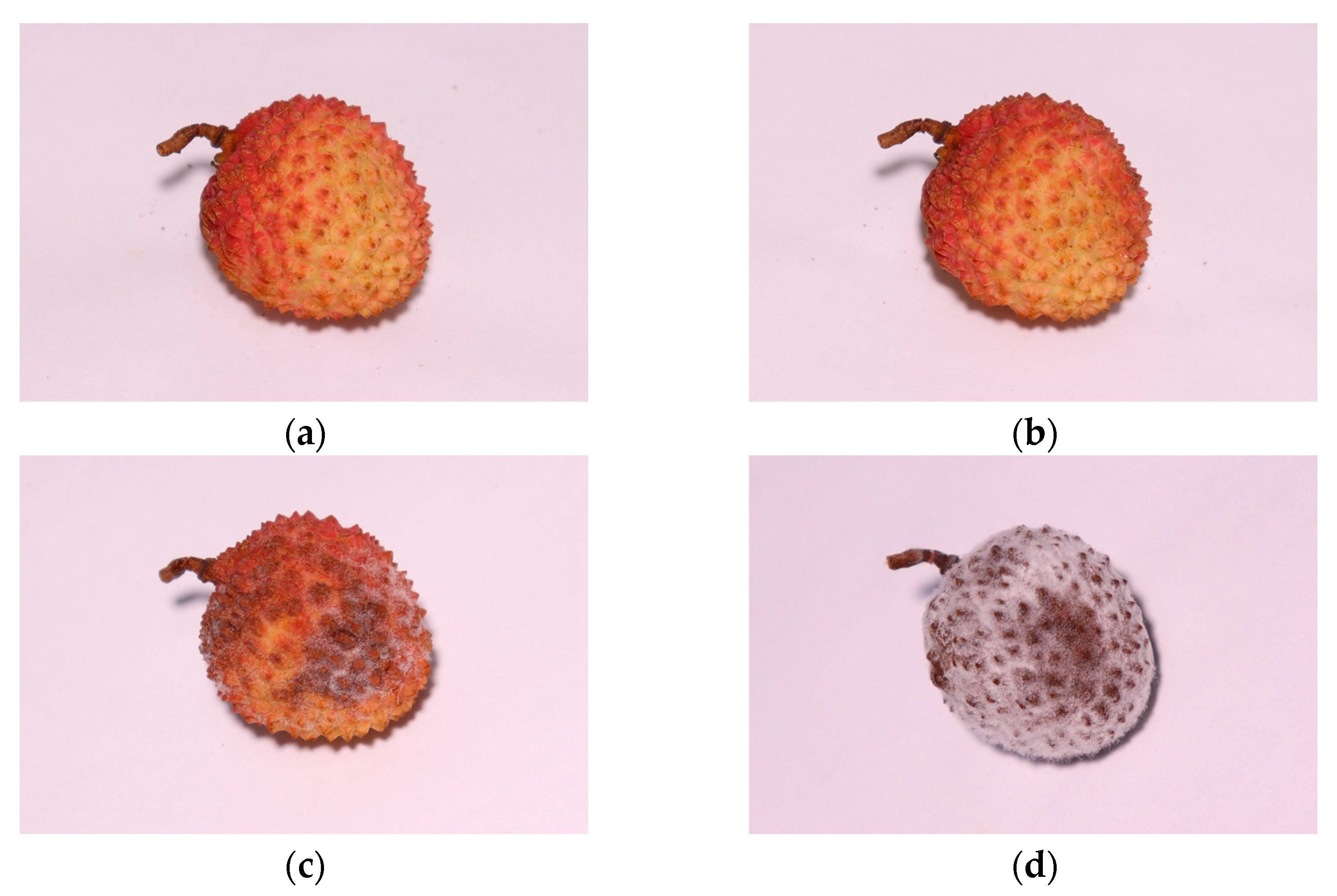 Agriculture 12 00402 g004