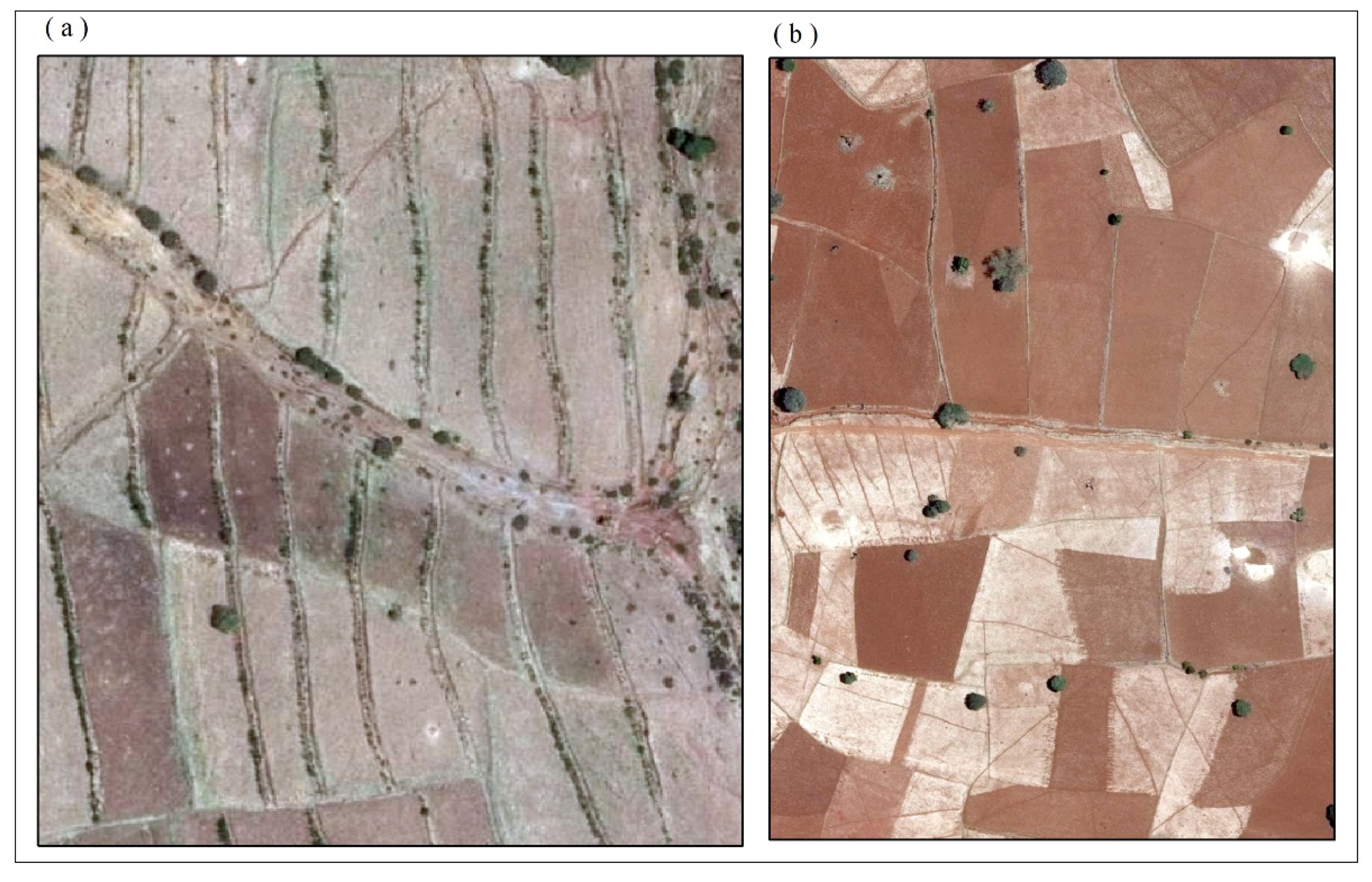 Agriculture 12 00417 g002