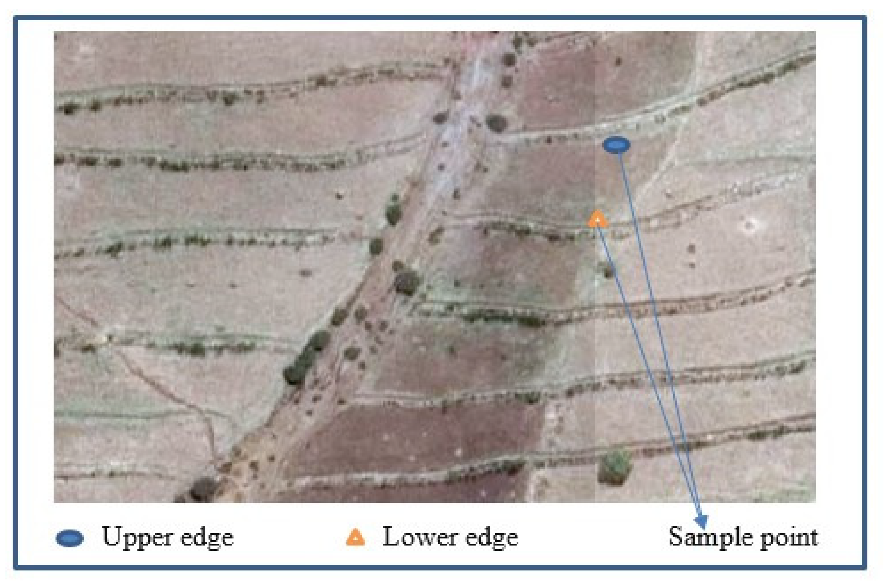 Agriculture 12 00417 g003