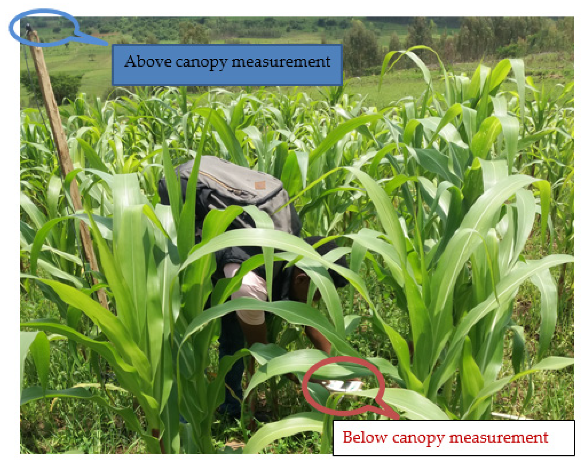 Agriculture 12 00417 g004