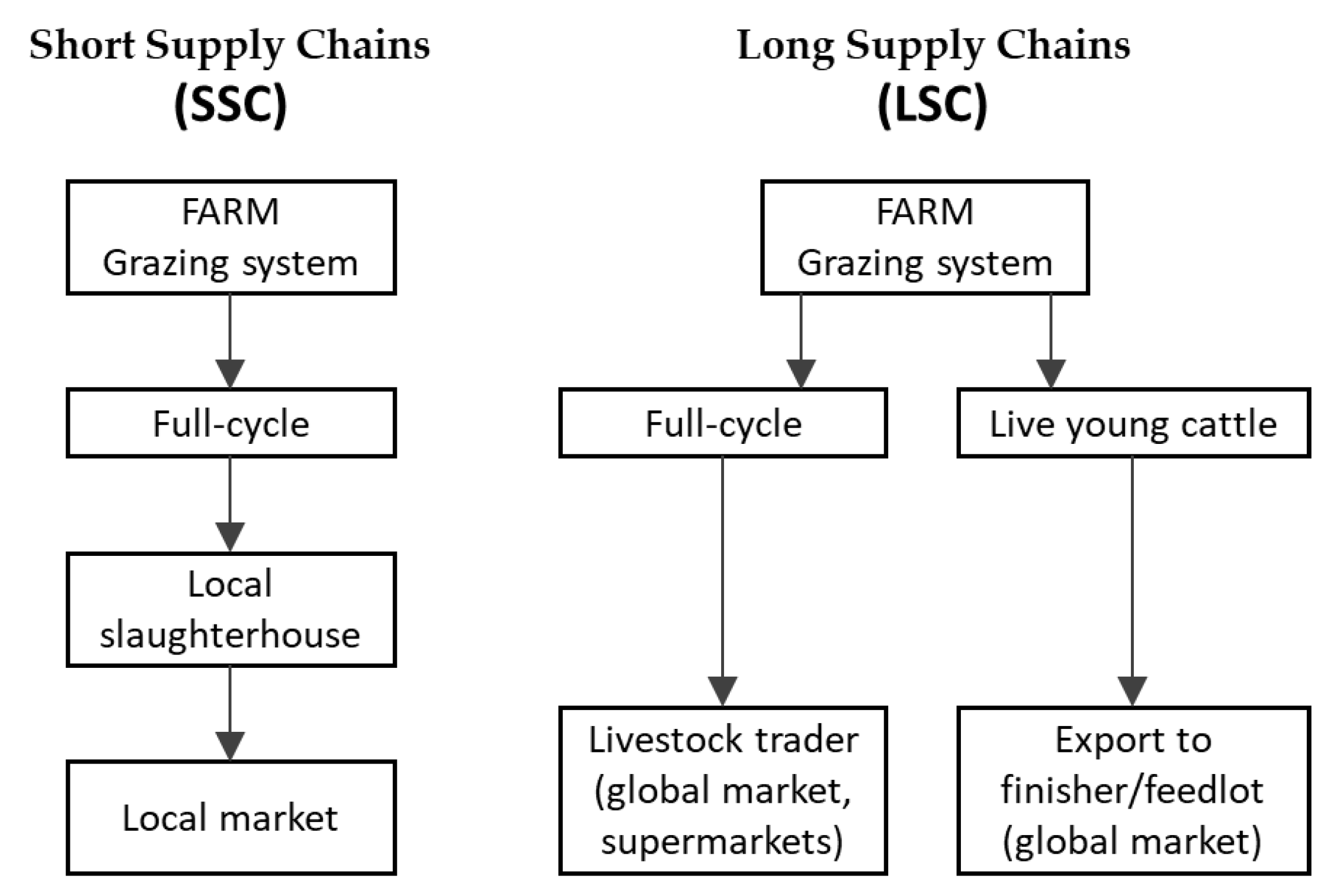 Agriculture 12 00419 g001