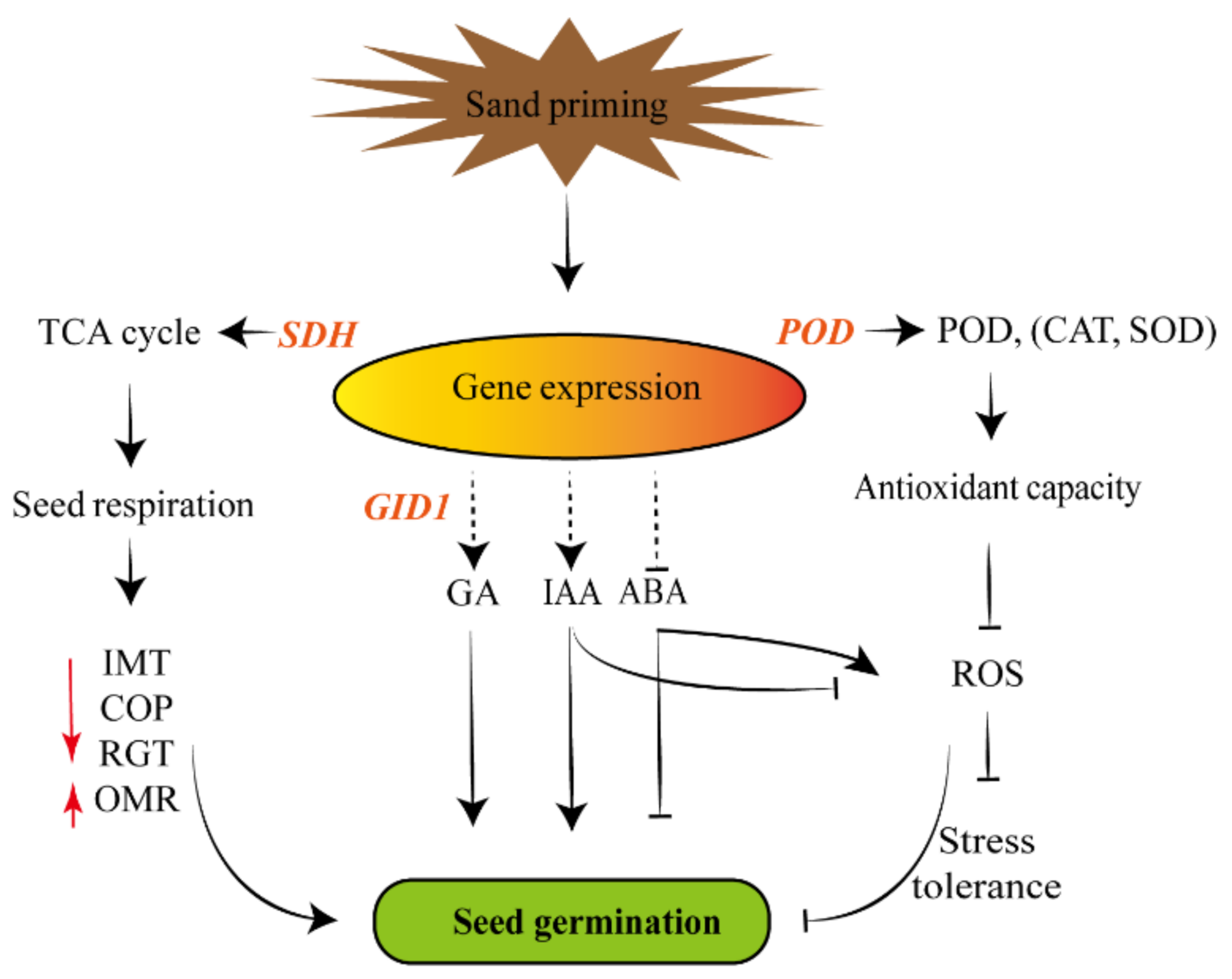 Agriculture 12 00455 g004