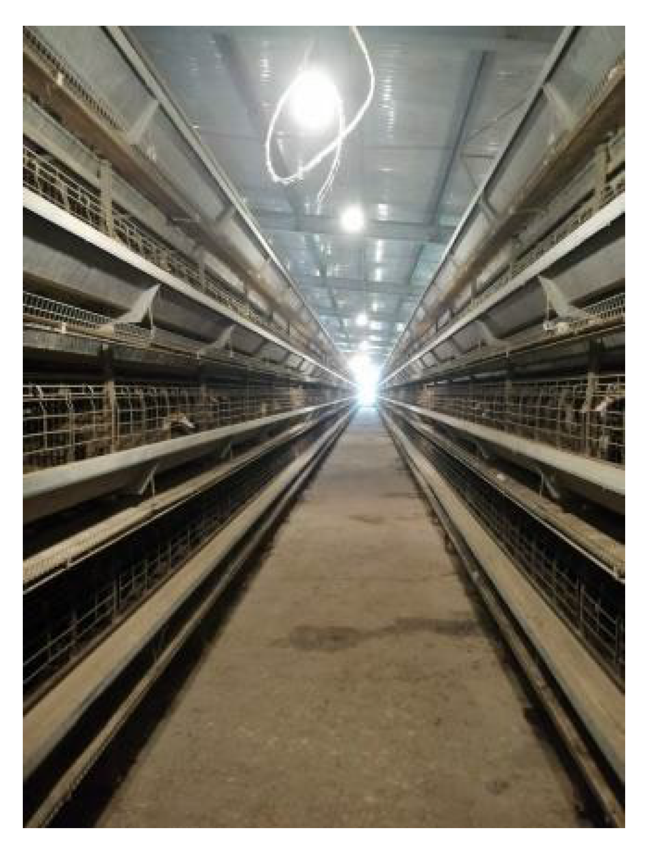 Agriculture 12 00485 g002