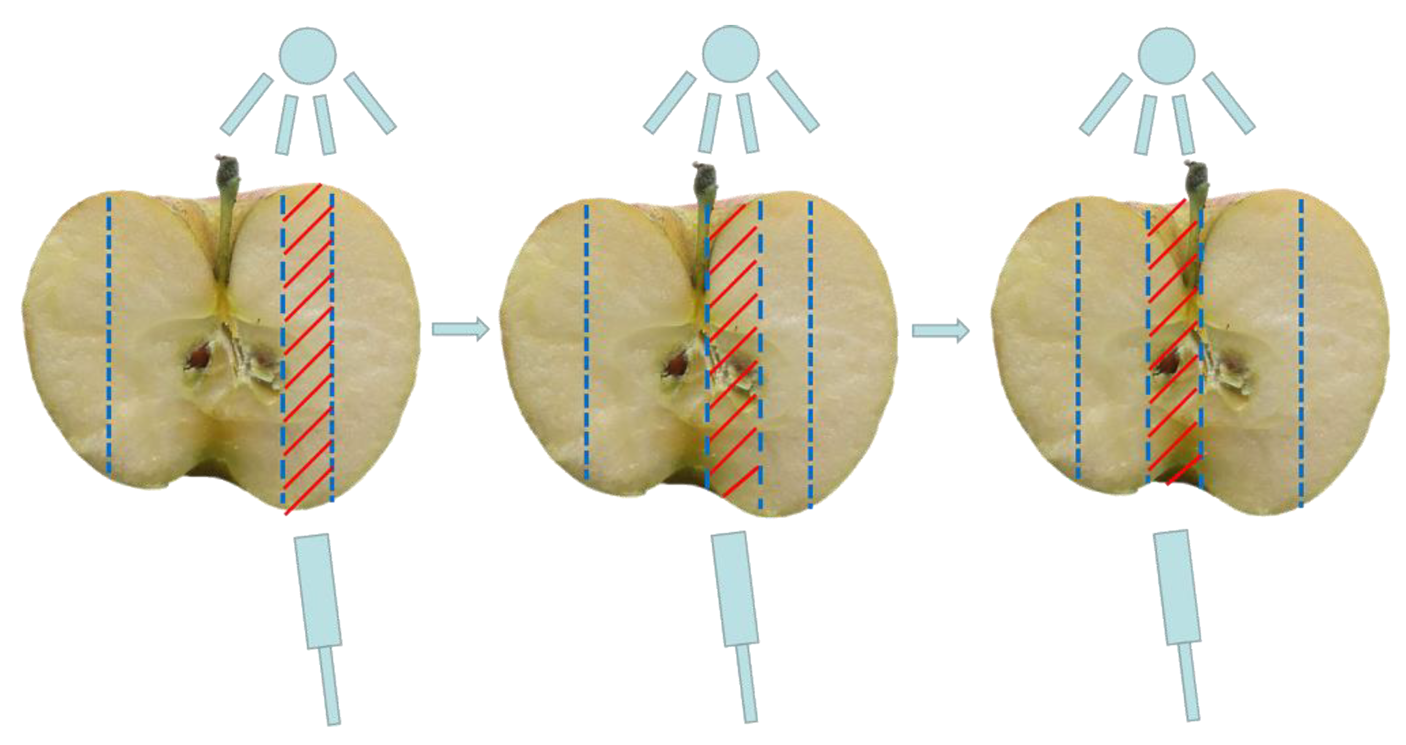 Agriculture 12 00489 g007