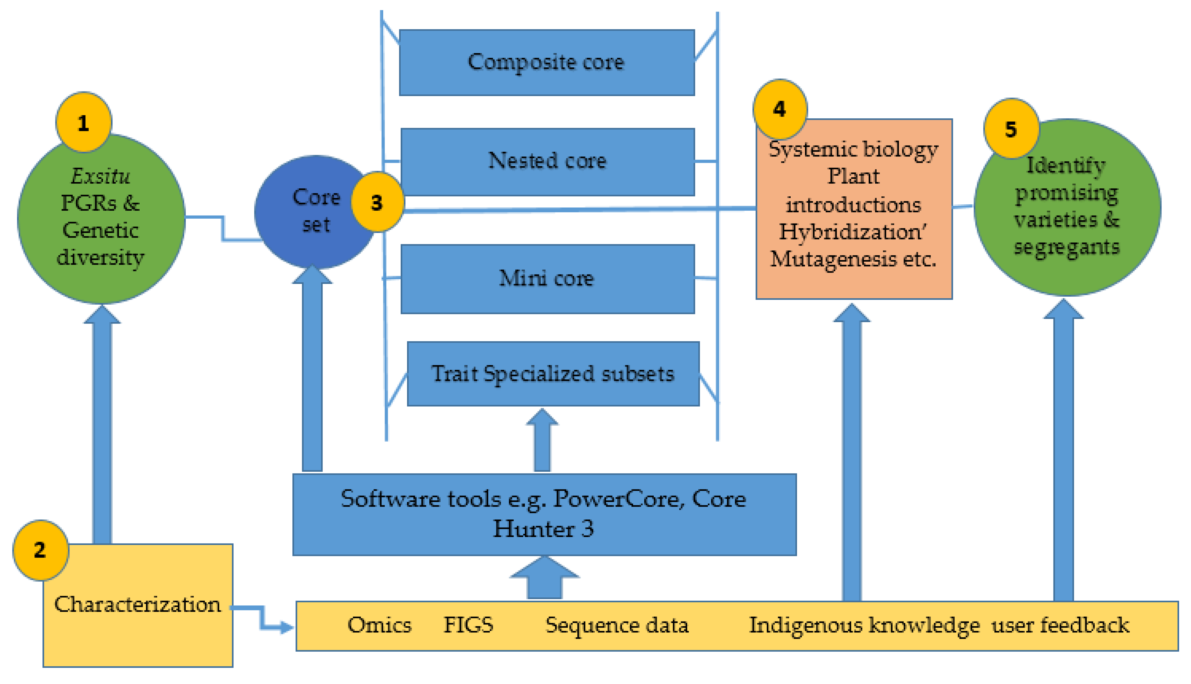 Agriculture 12 00492 g002