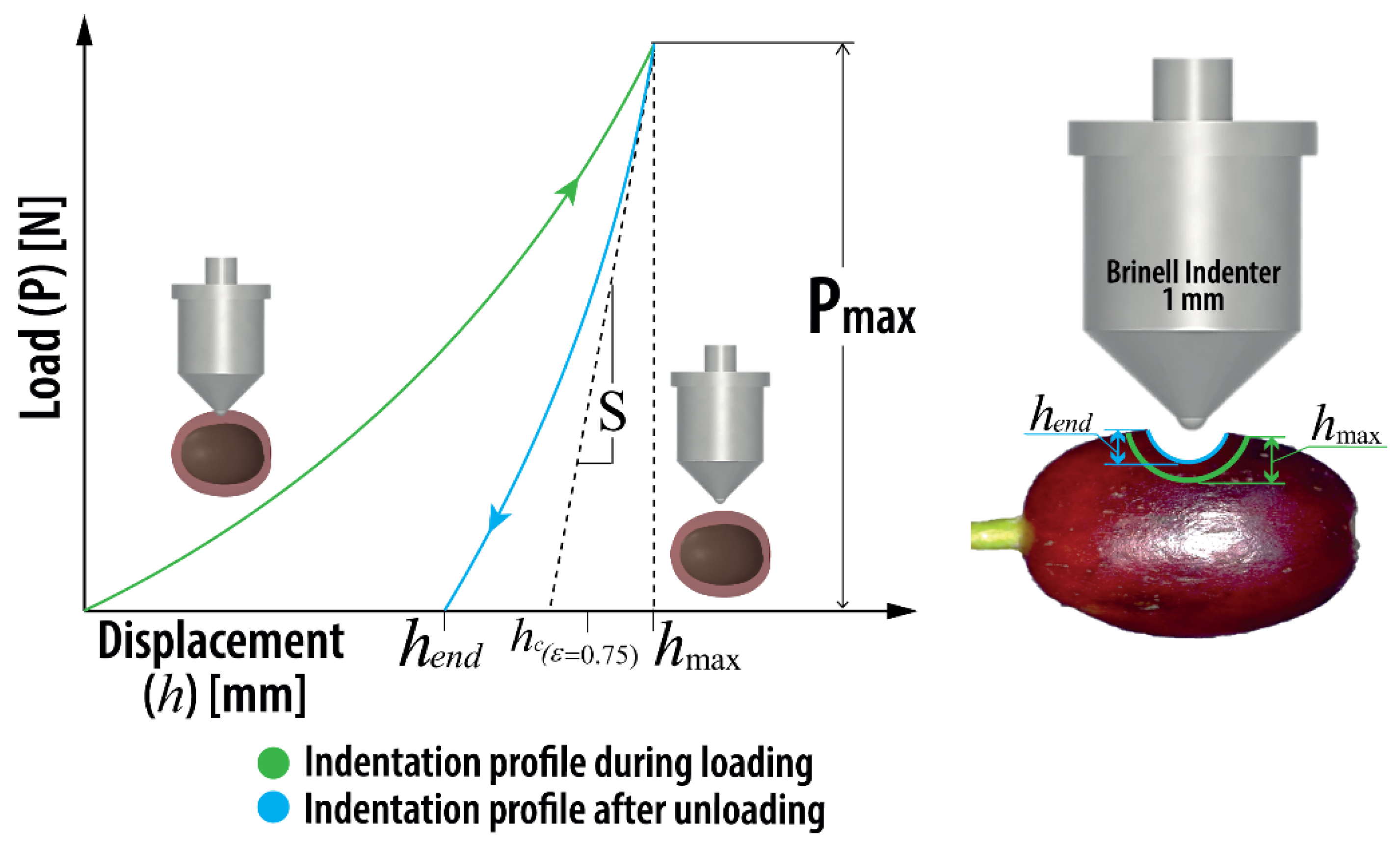 Agriculture 12 00502 g001