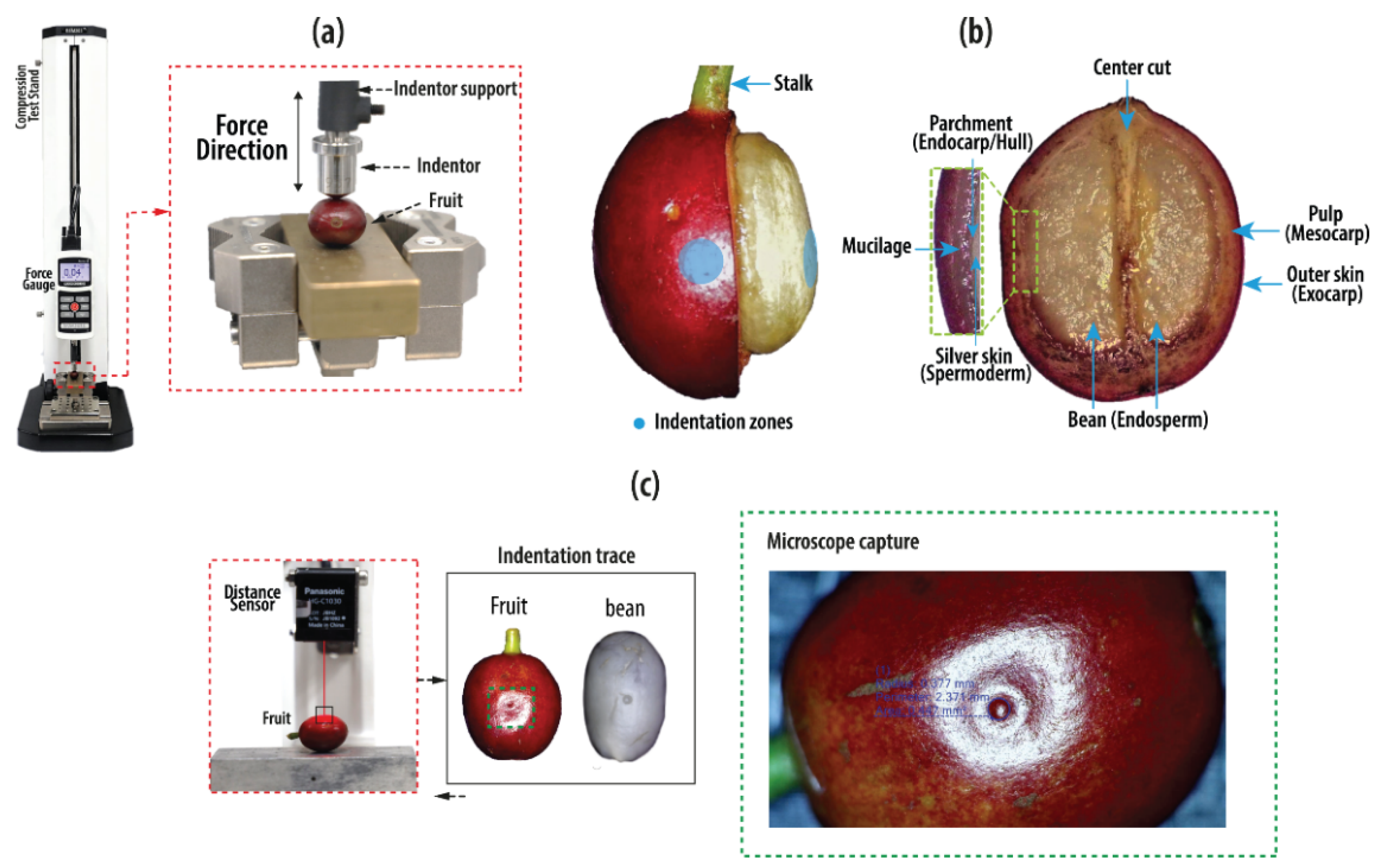 Agriculture 12 00502 g002