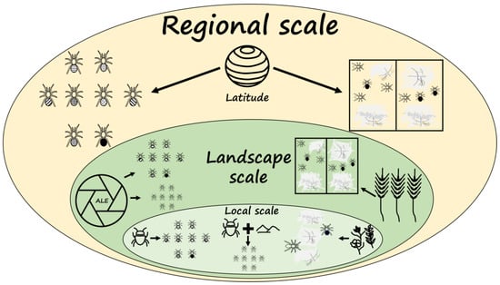 Agriculture 12 00512 g004